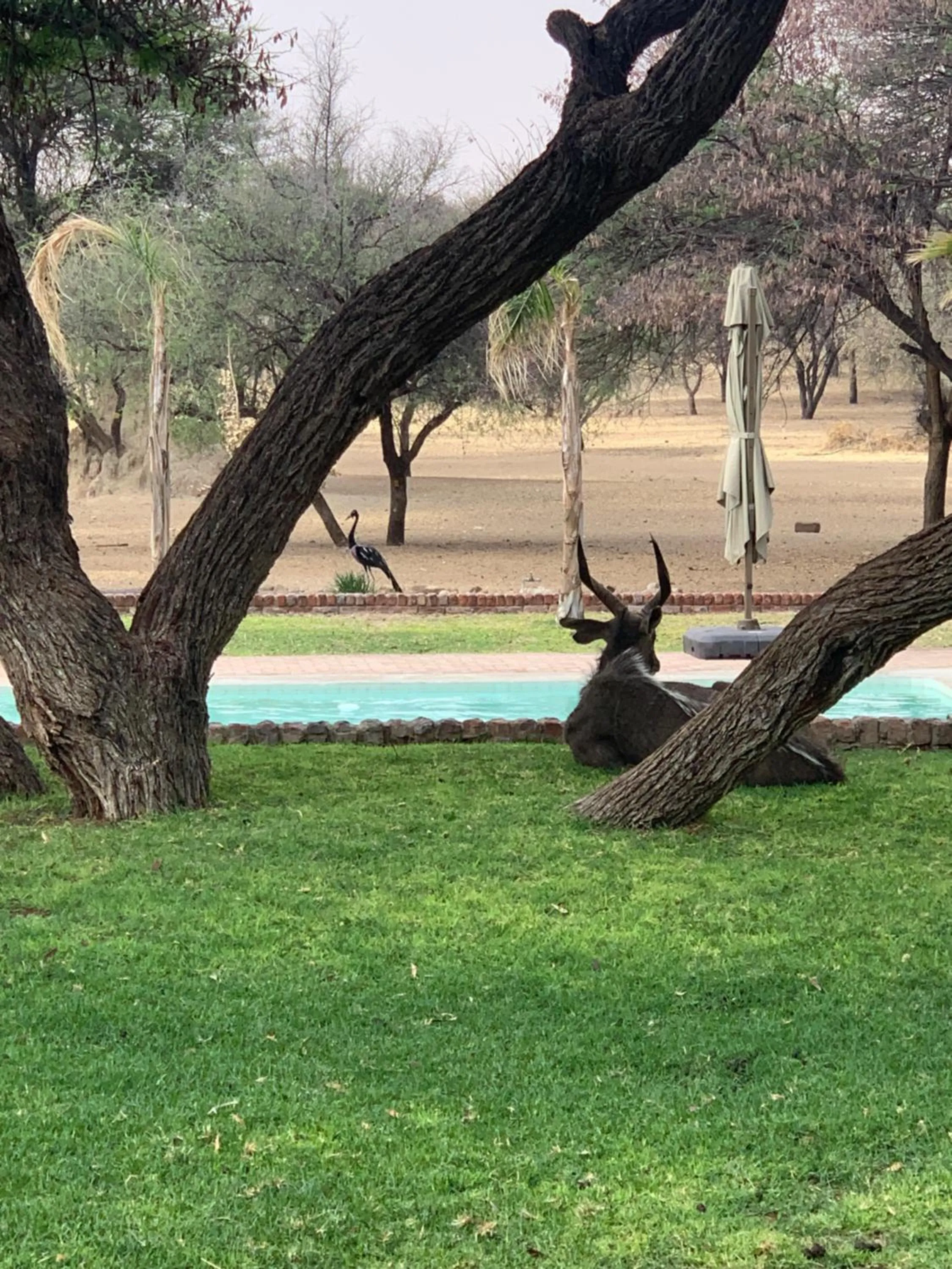 Day in Otjibamba Lodge