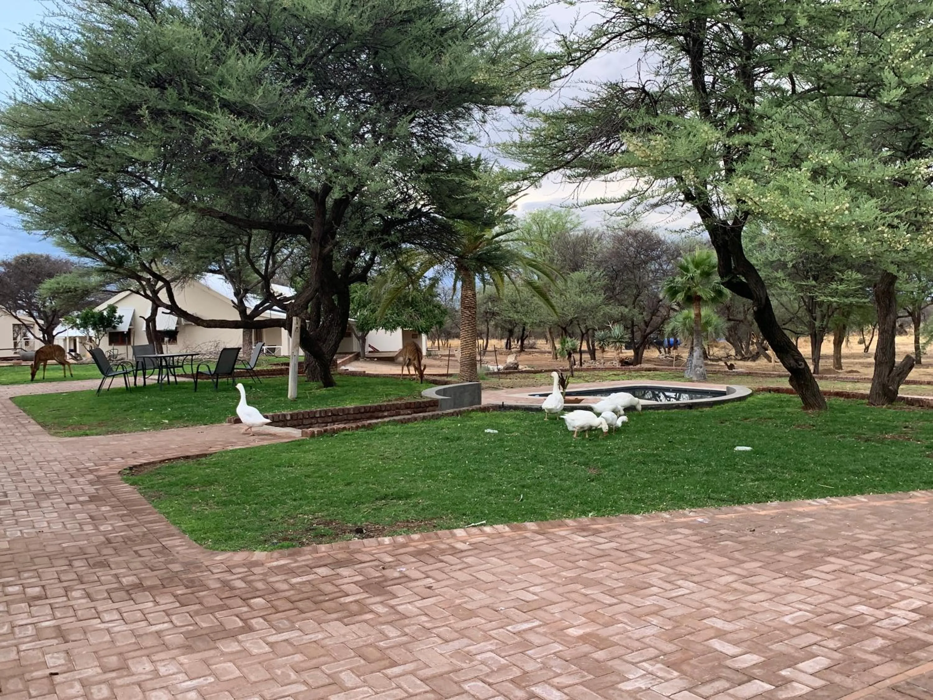 Restaurant/places to eat in Otjibamba Lodge