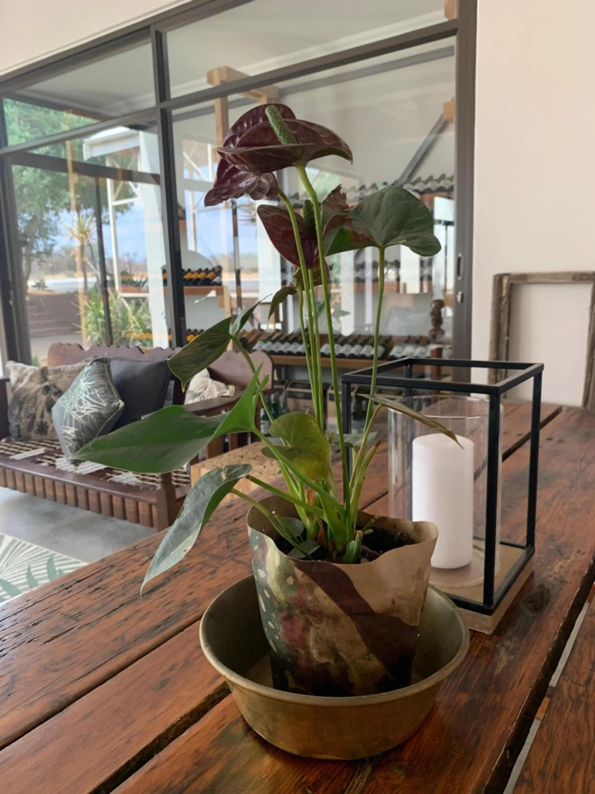 Seating area in Otjibamba Lodge