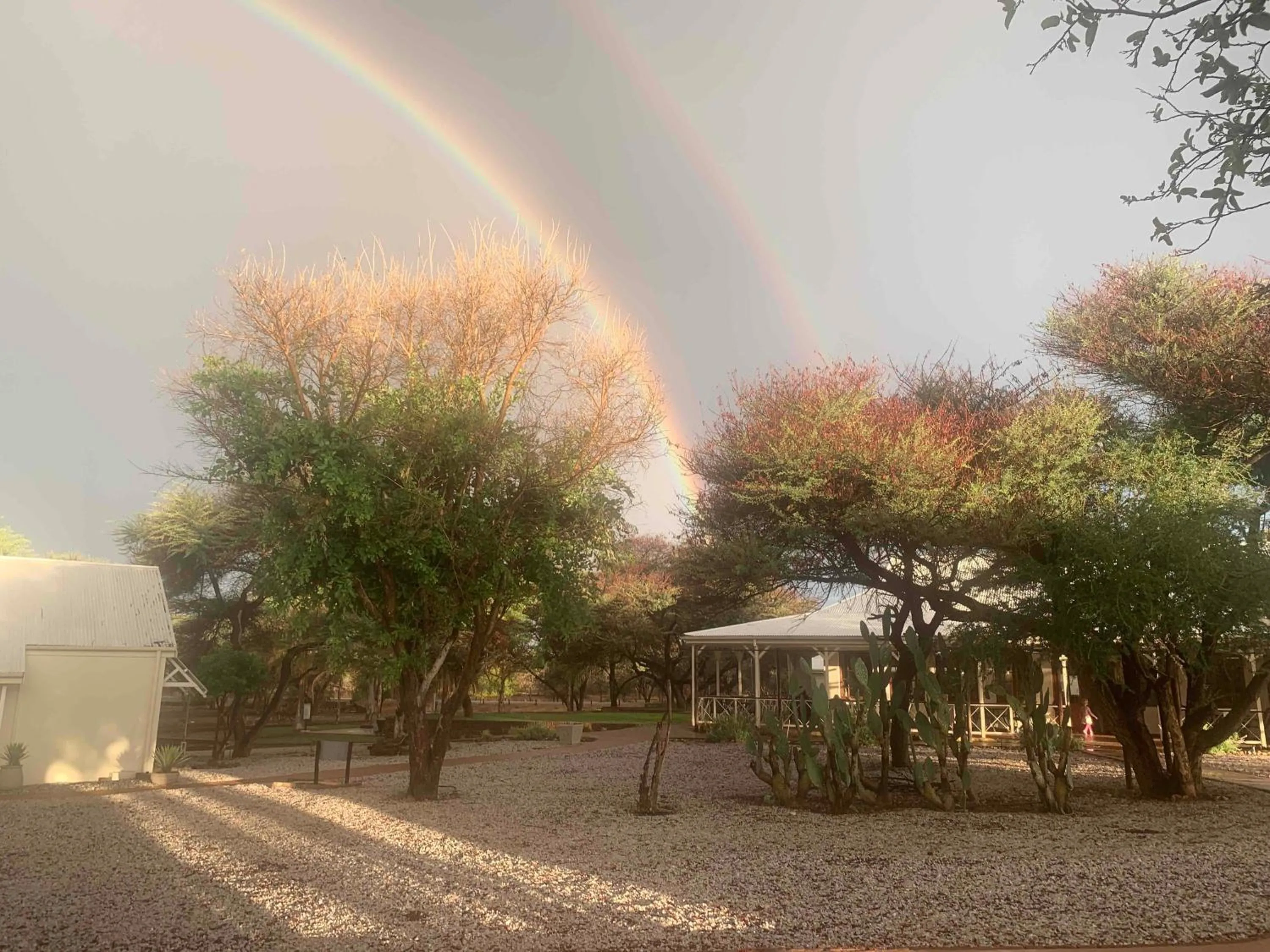 Property building in Otjibamba Lodge