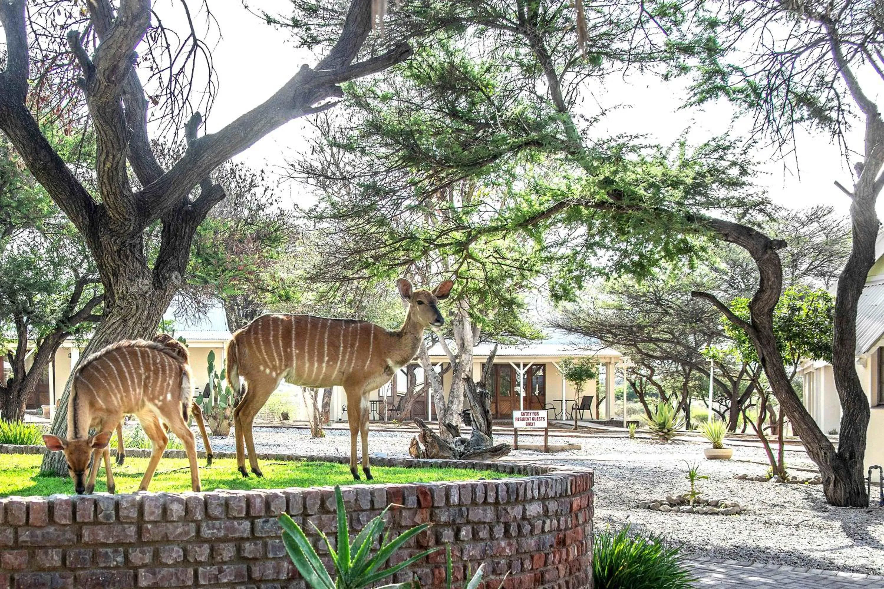 Property building in Otjibamba Lodge