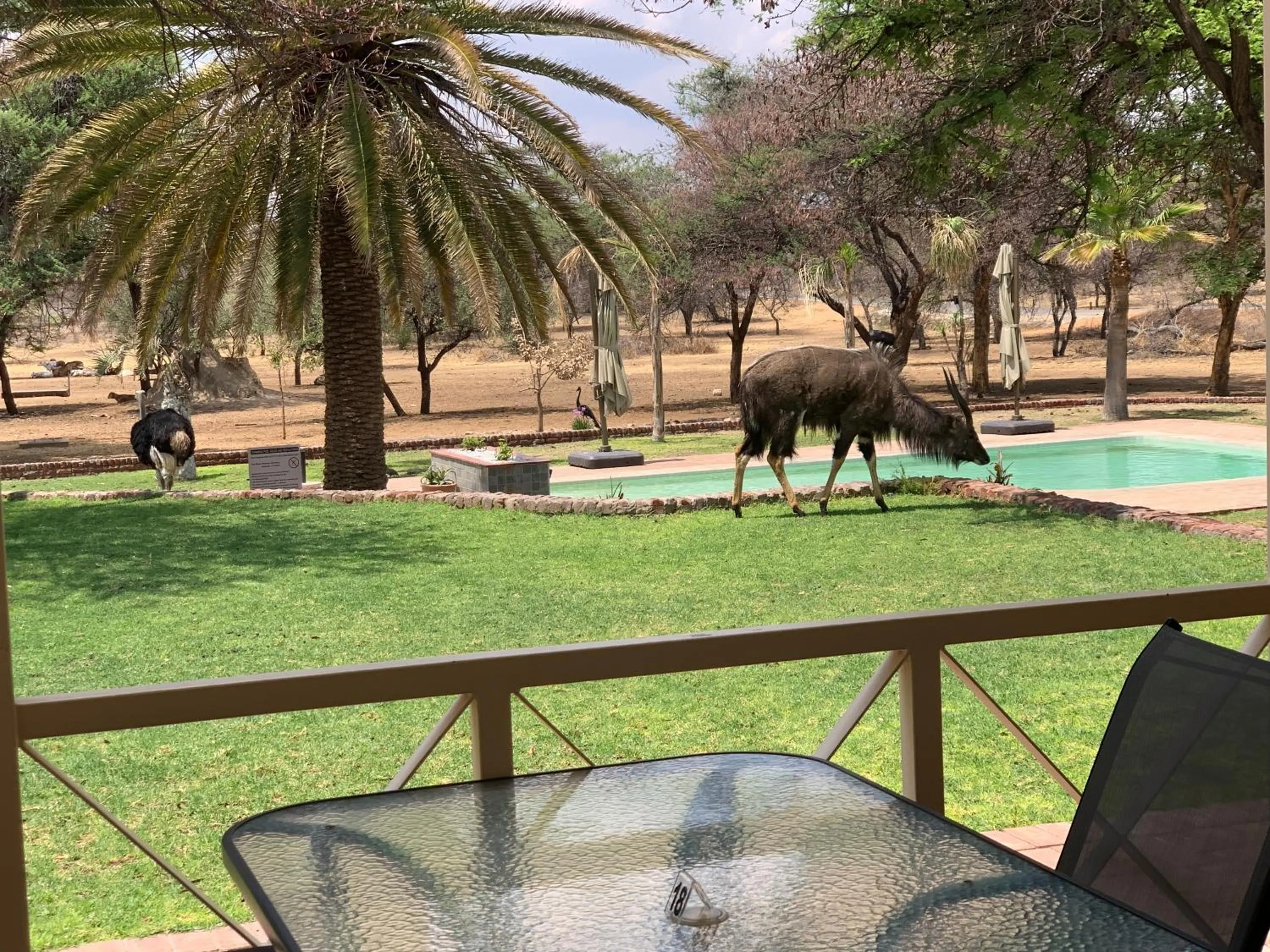 Day in Otjibamba Lodge