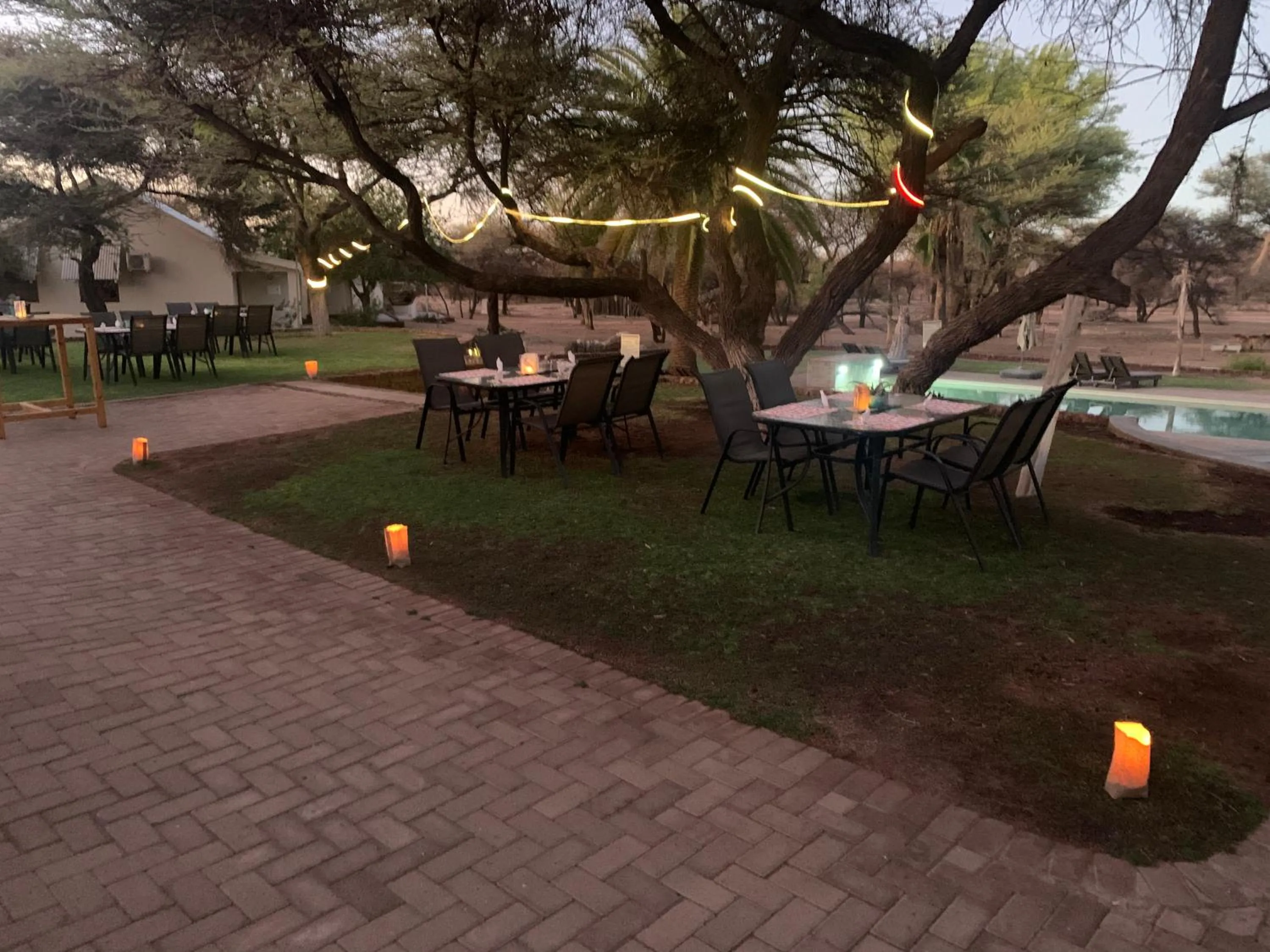 Restaurant/places to eat in Otjibamba Lodge