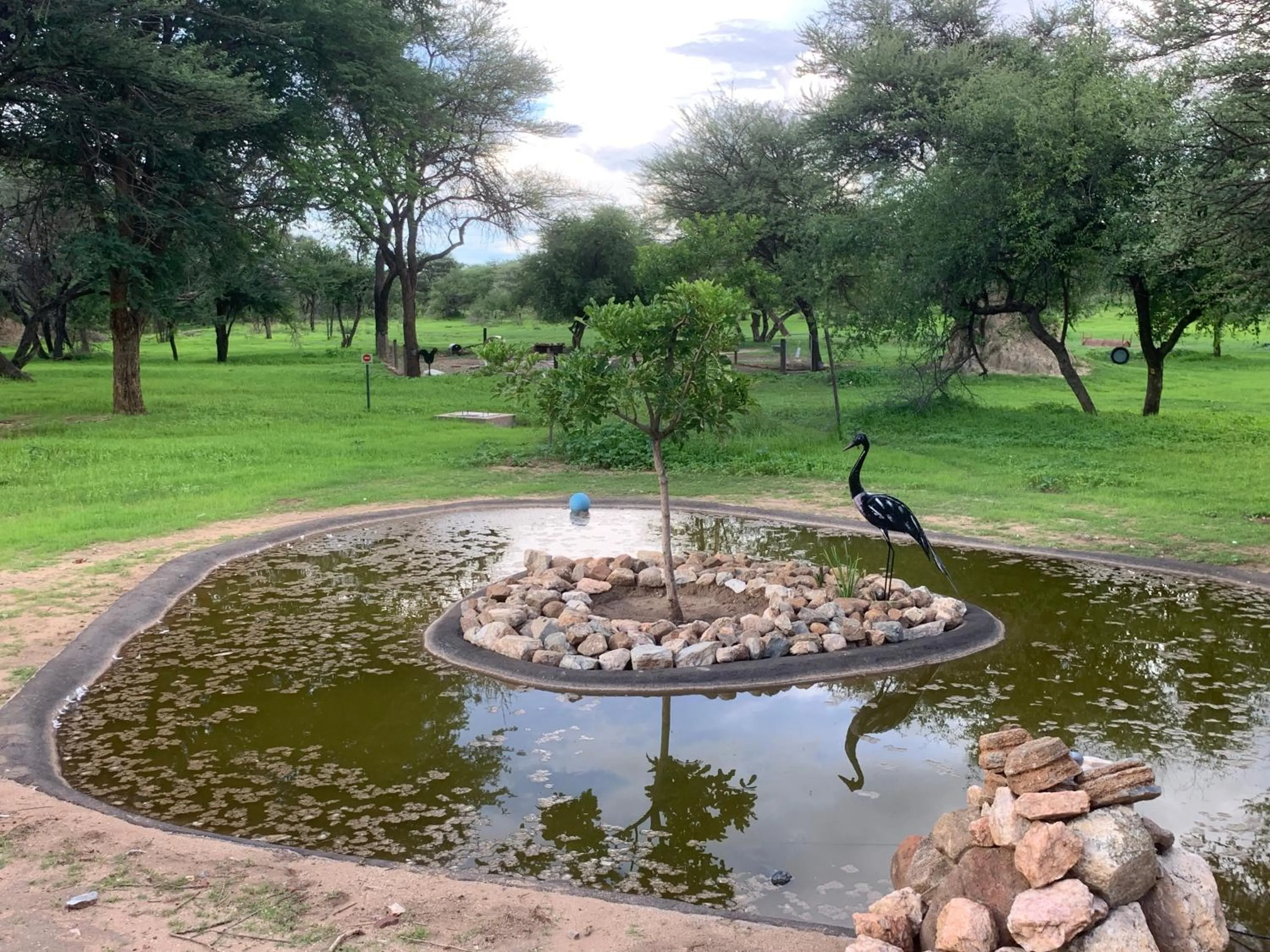 Garden in Otjibamba Lodge