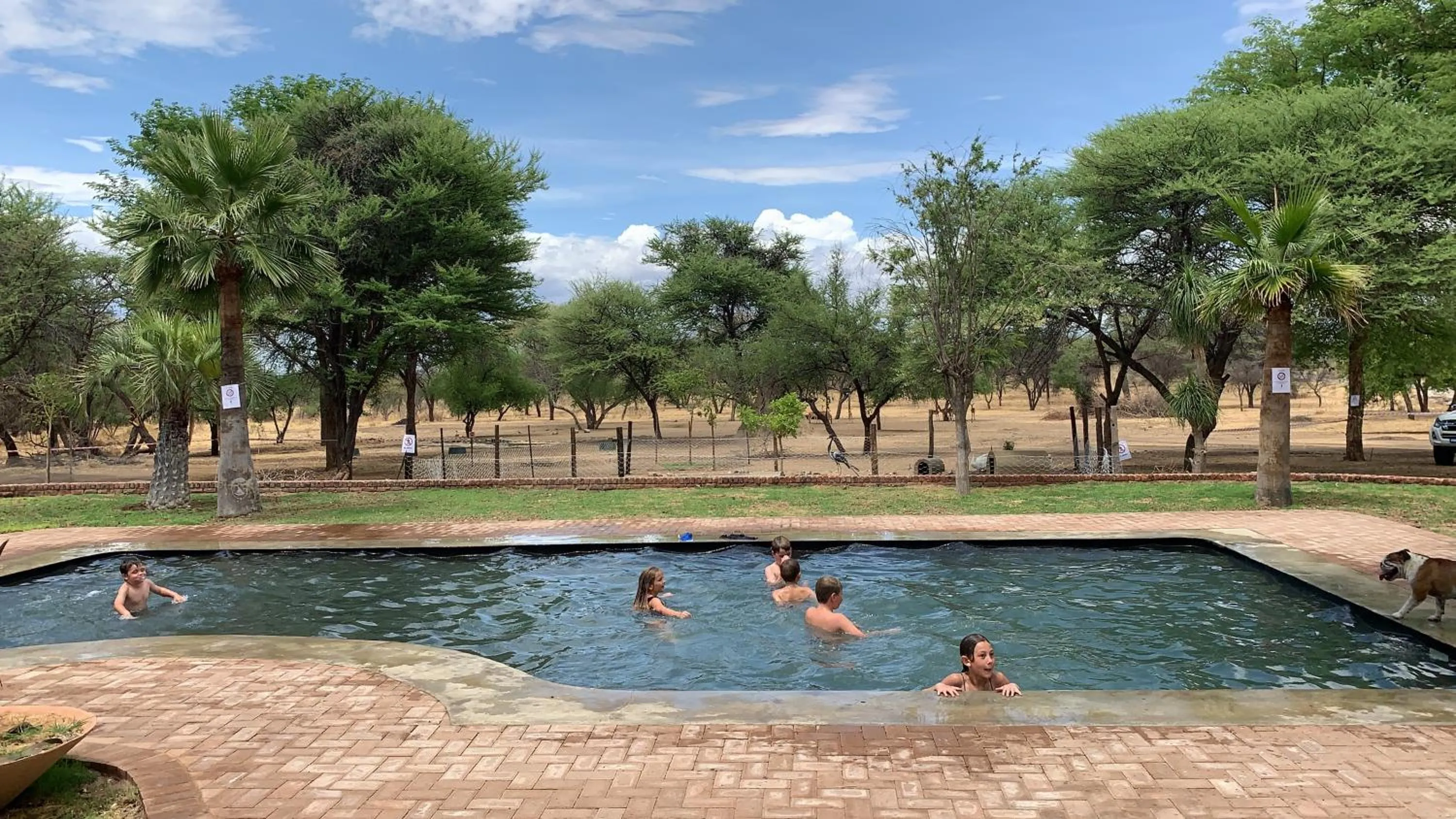 Swimming pool in Otjibamba Lodge