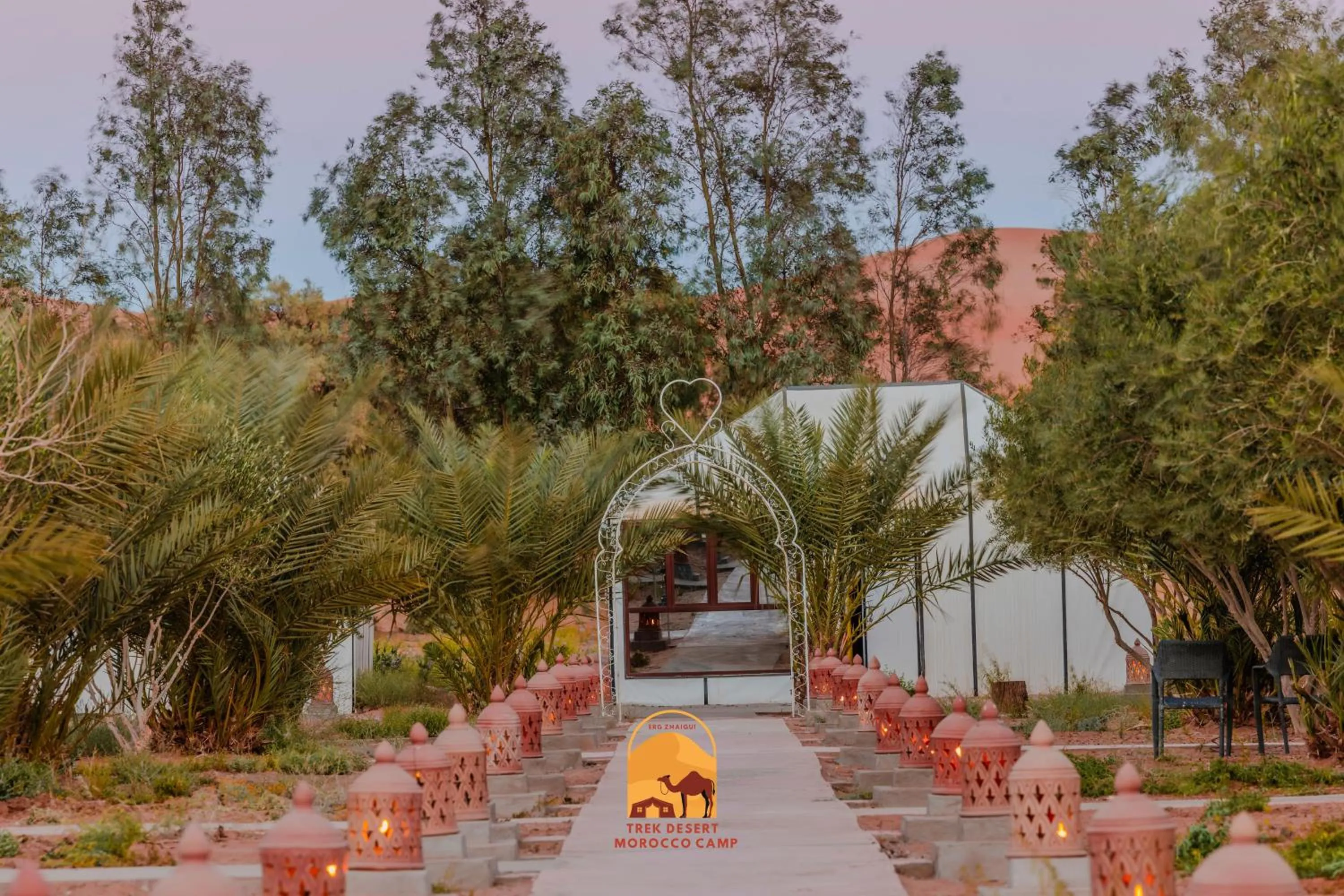 Natural landscape in Trek desert Morocco Sarl