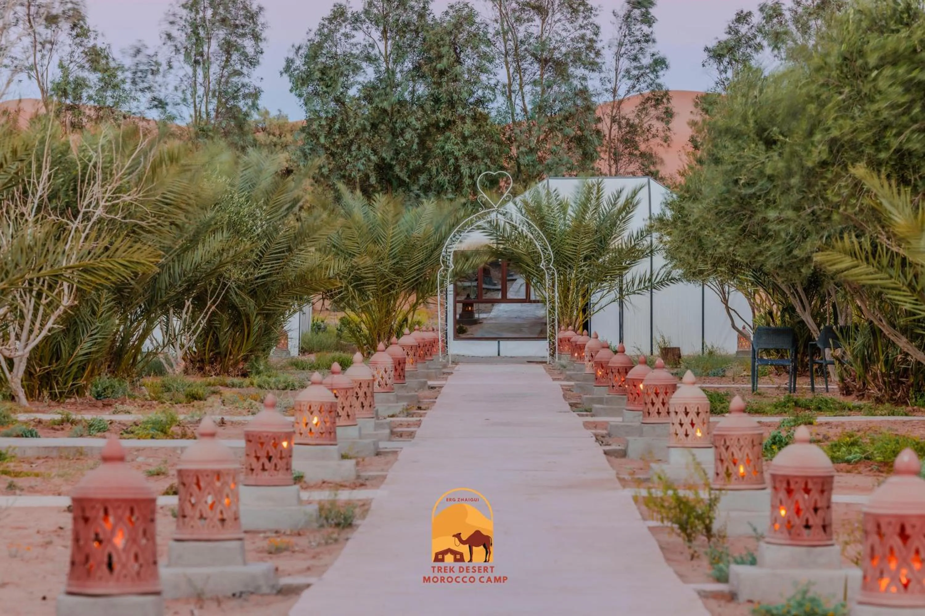 Spring in Trek desert Morocco Sarl