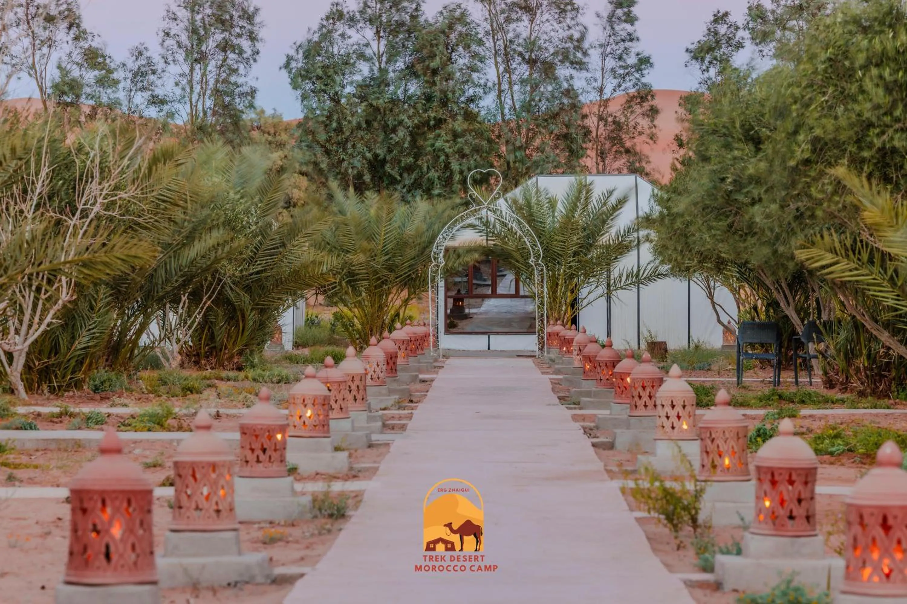 Natural landscape in Trek desert Morocco Sarl