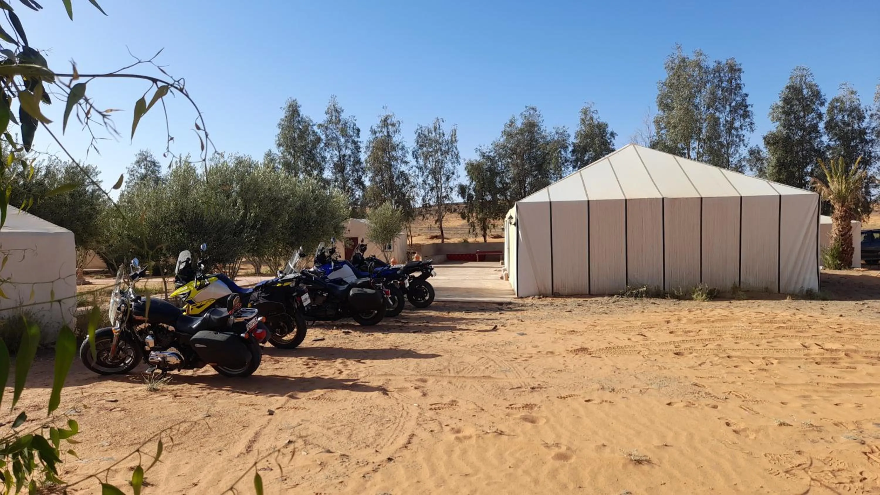 People in Trek desert Morocco Sarl