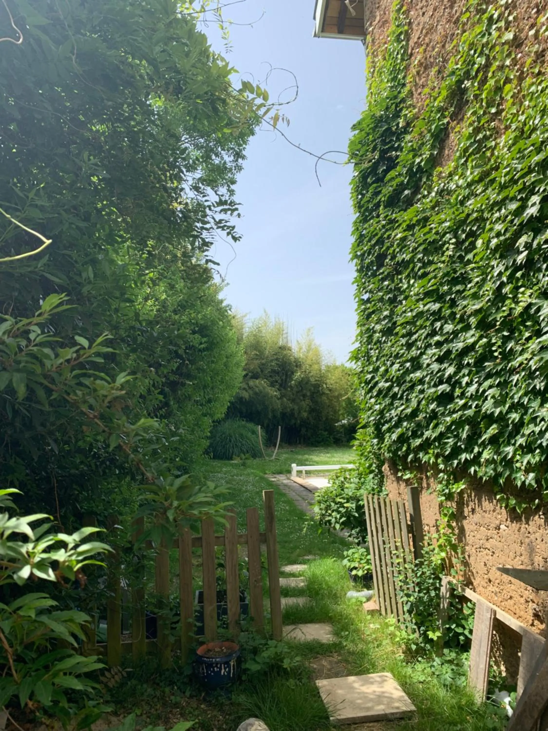 Garden in Cookie home