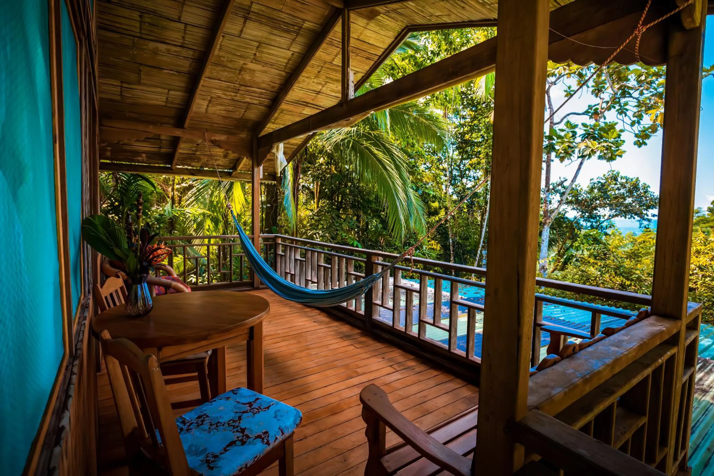 Garden in Ocean Forest Ecolodge