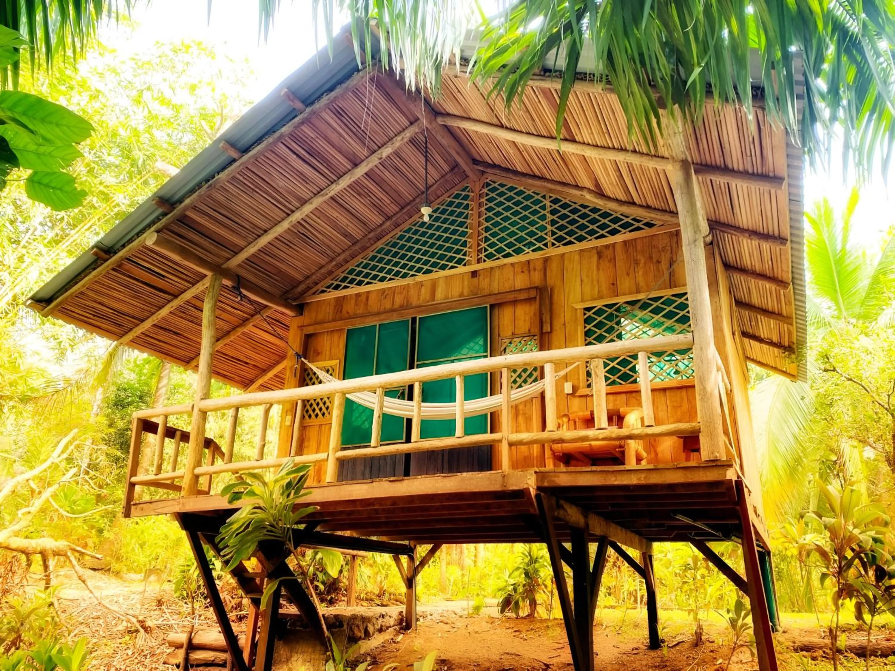 Property building in Ocean Forest Ecolodge