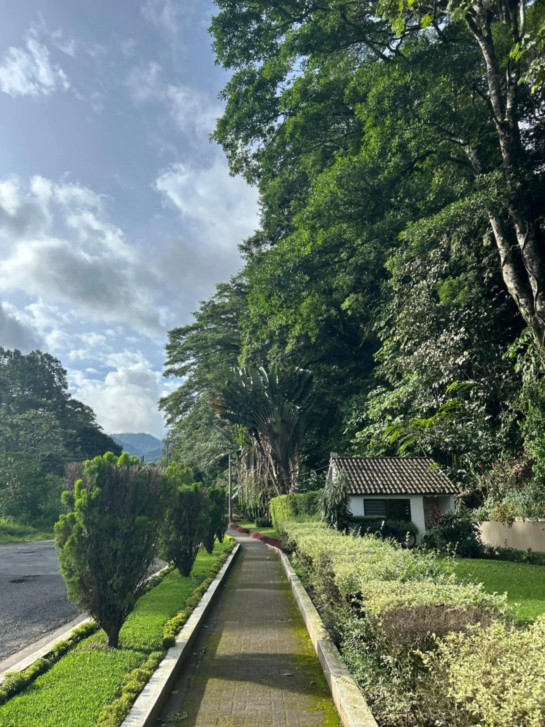 Garden in Hotel Ladera