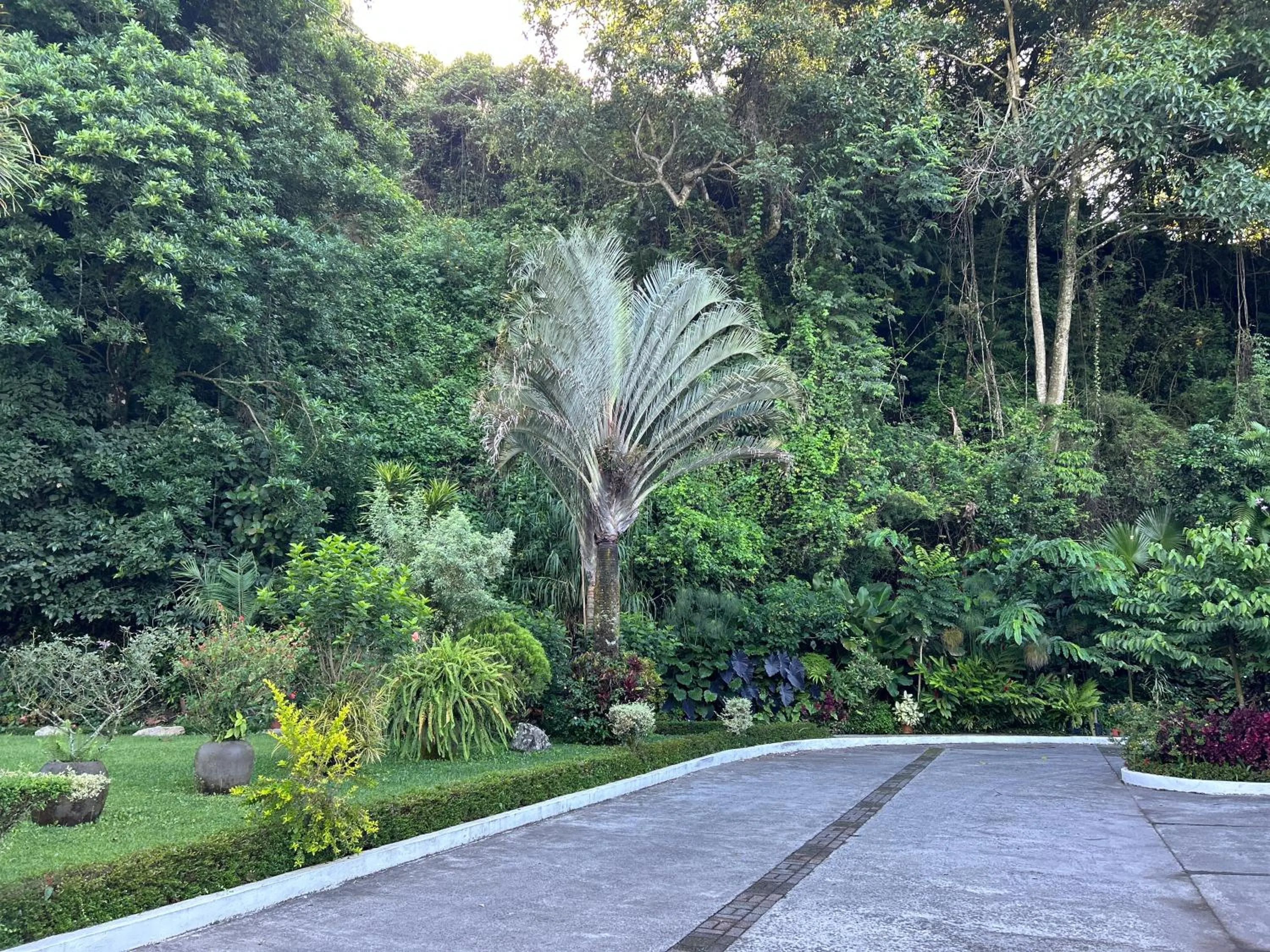 Garden in Hotel Ladera