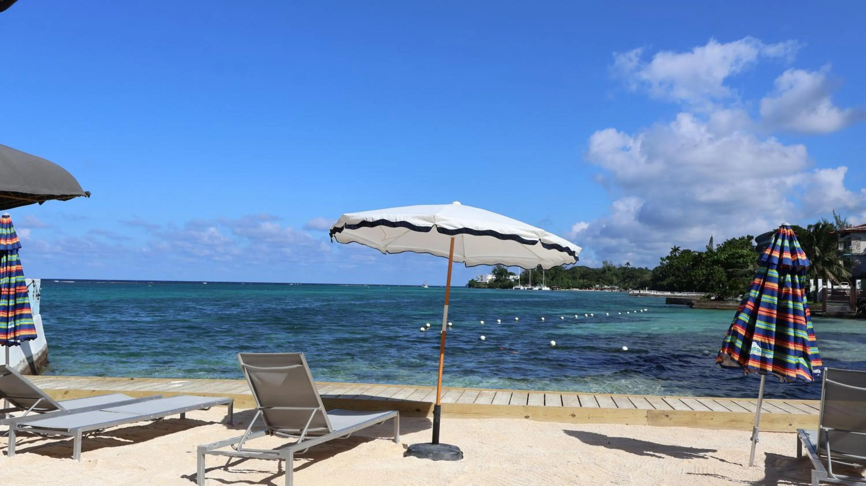 Beach in Ocean Palms