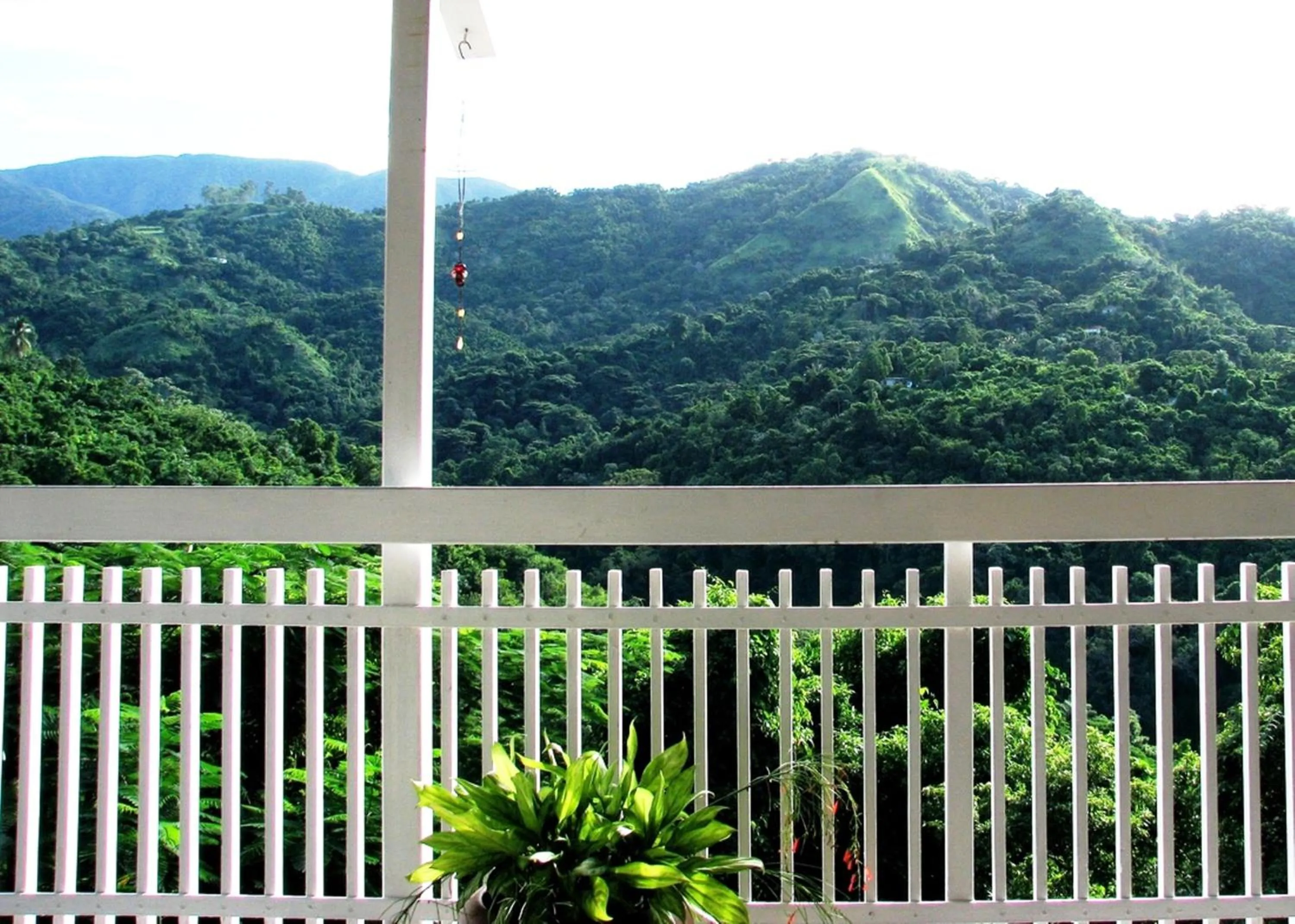 Mountain view in Neita's Nest