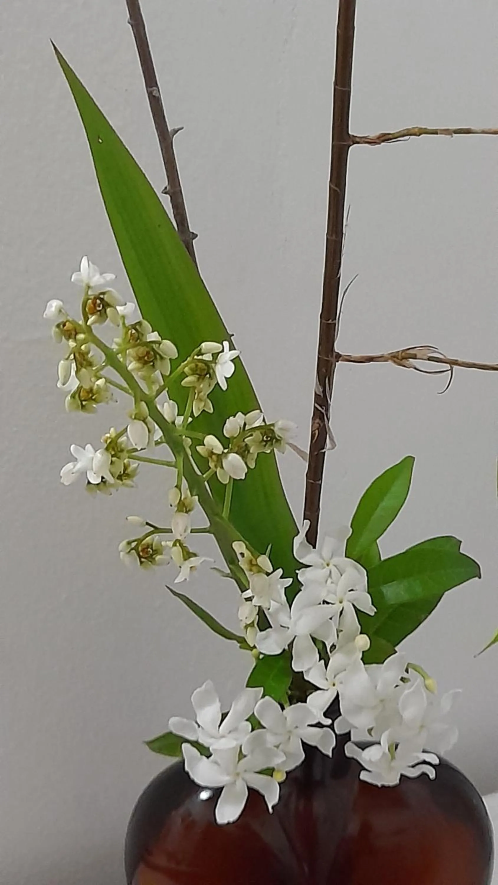 Decorative detail in Neita's Nest
