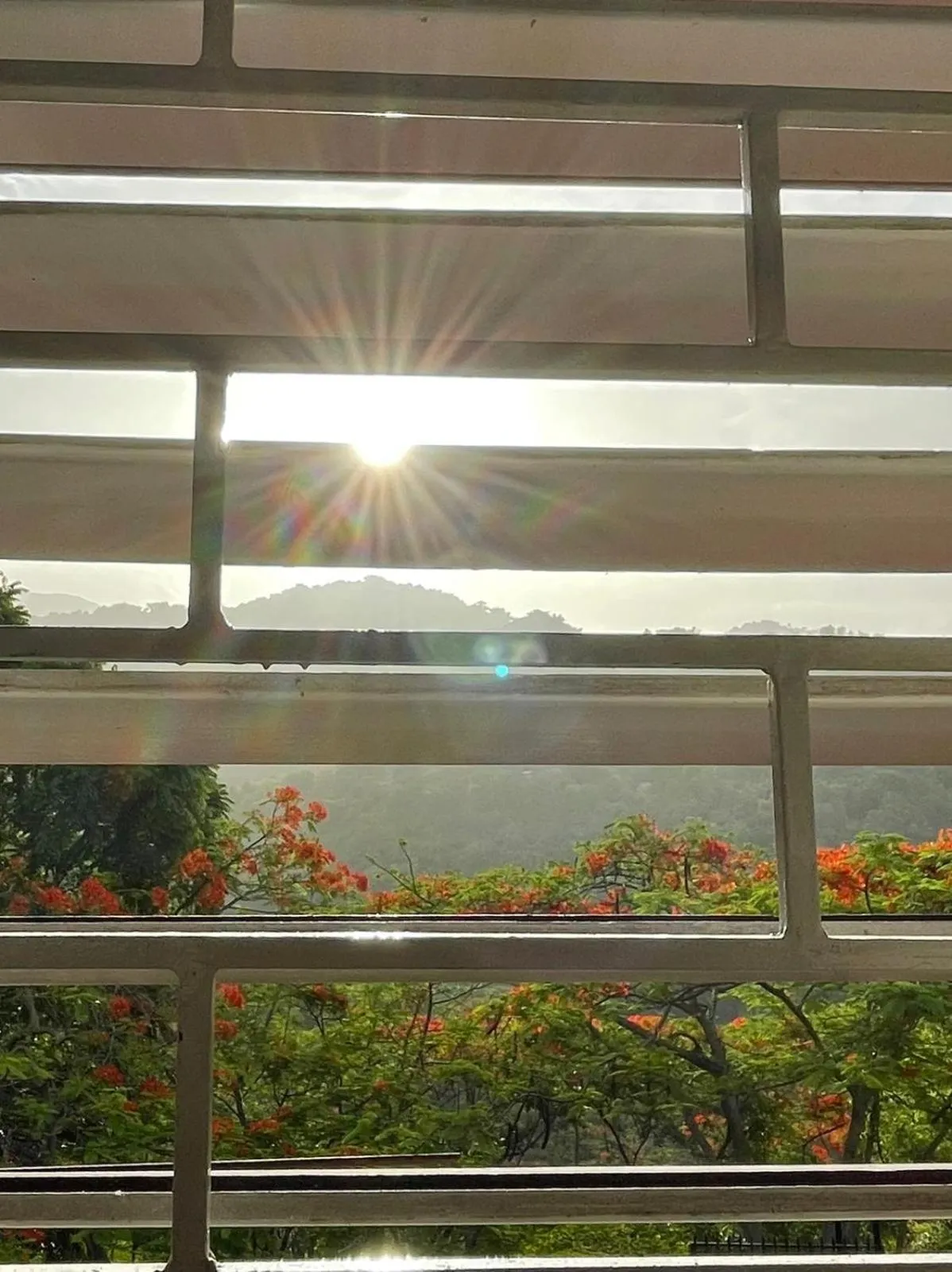 Garden view in Neita's Nest