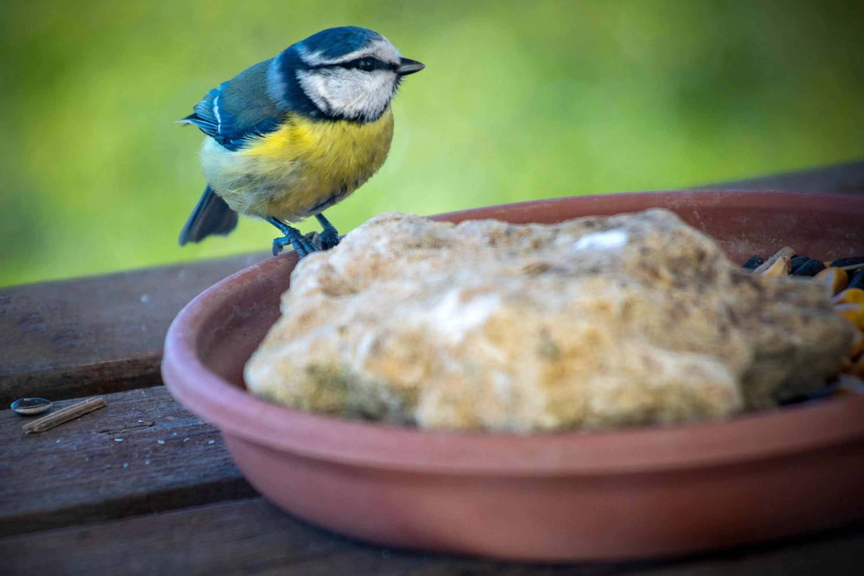 Natural landscape in Ferme des Petites Oreilles 4 étoiles