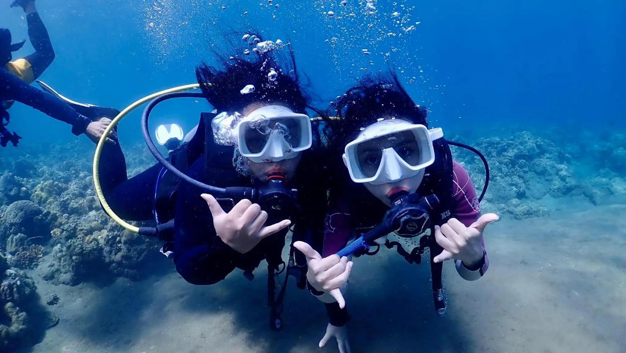 PamAnilao and Padoy's Dive Camp