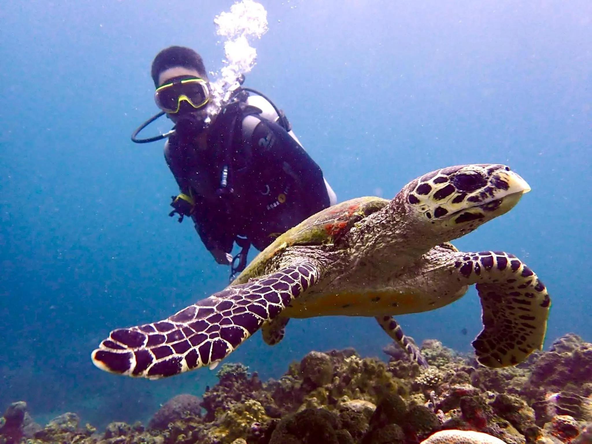 PamAnilao and Padoy's Dive Camp