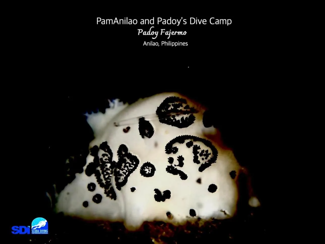 PamAnilao and Padoy's Dive Camp