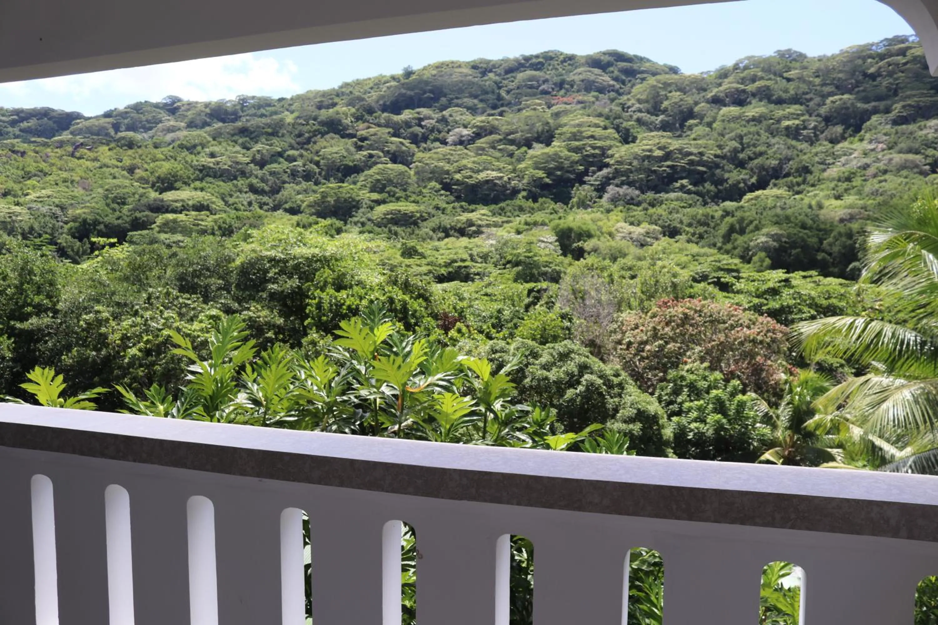 Balcony/Terrace in Mountain View Hotel