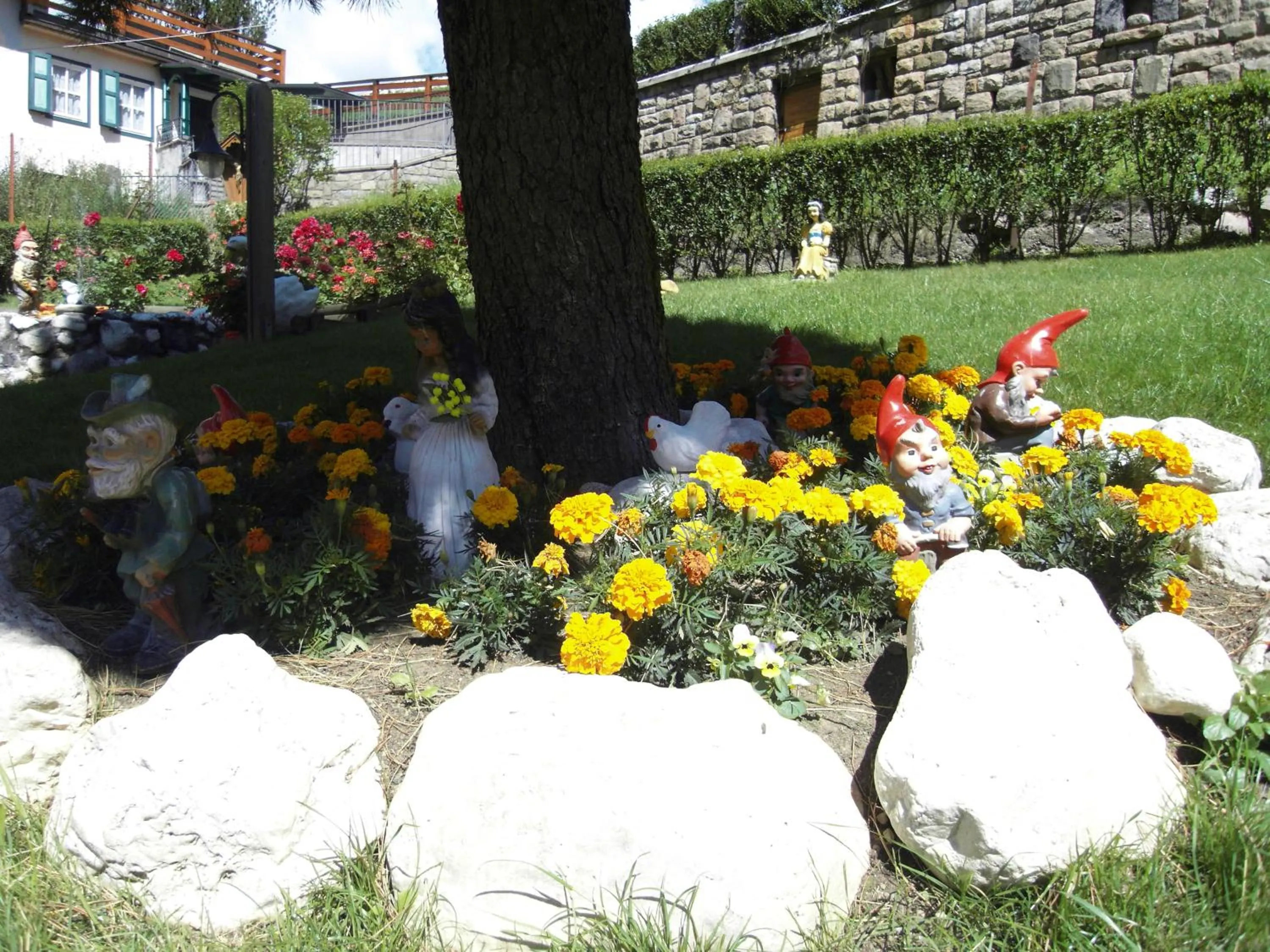 Garden in Hotel L'Ideale