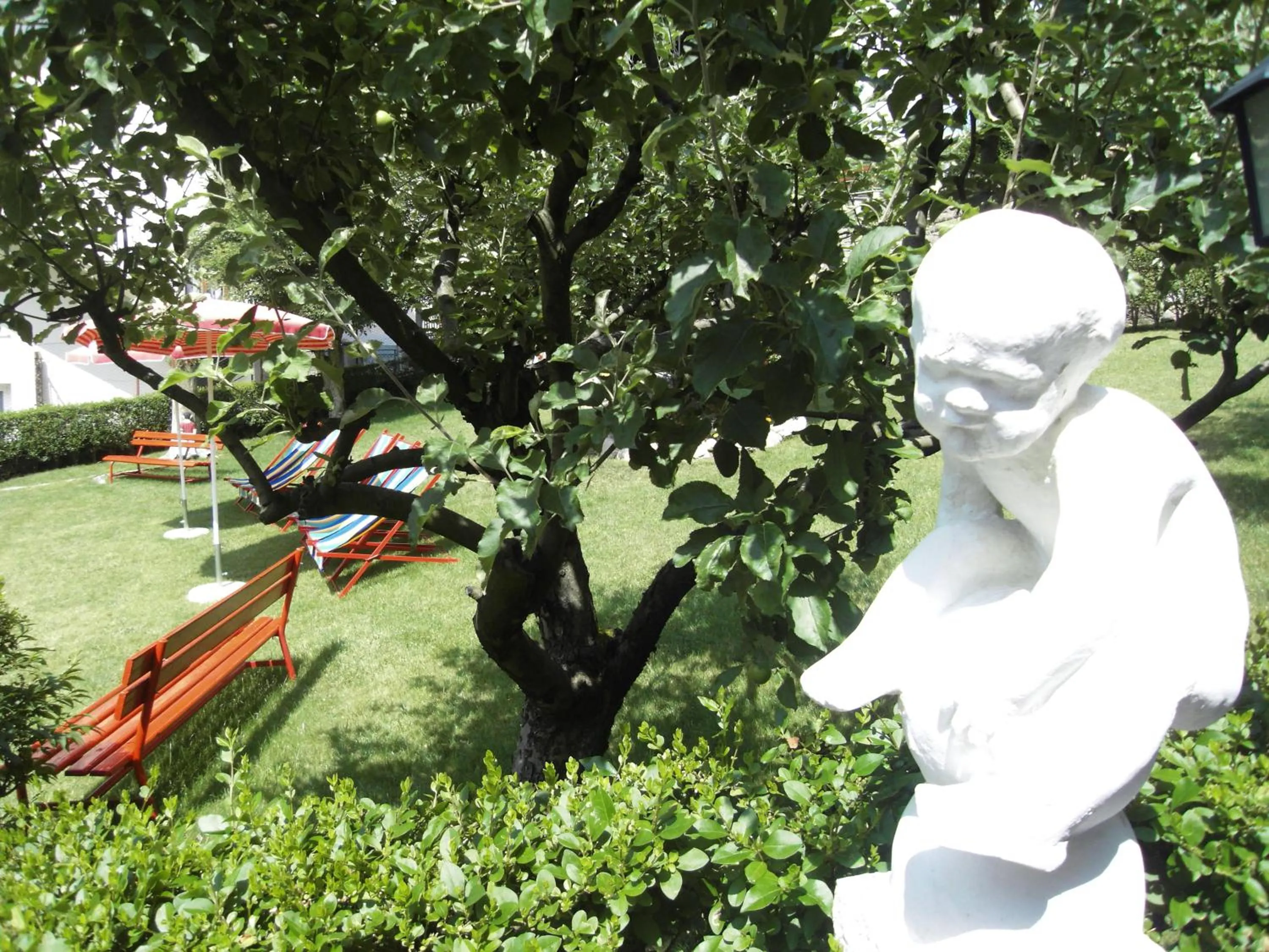 Garden in Hotel L'Ideale