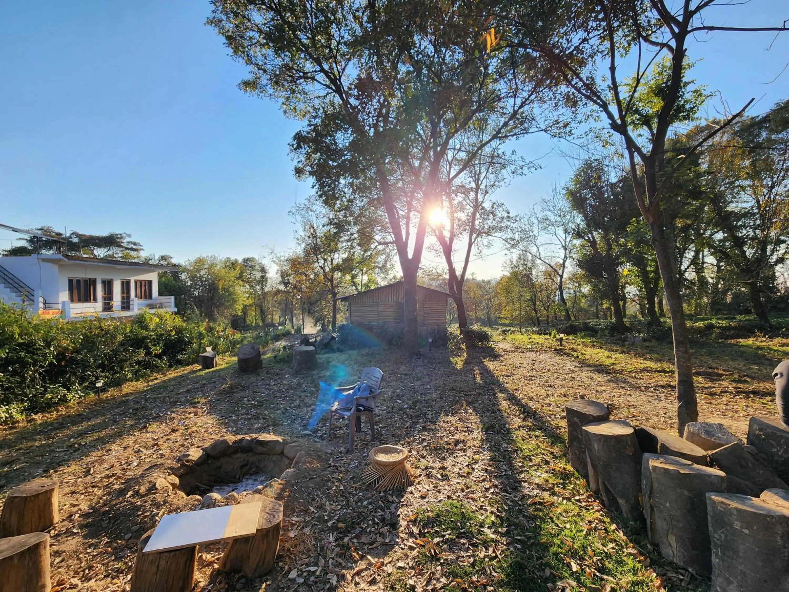 Garden in The Birdhouse Villa