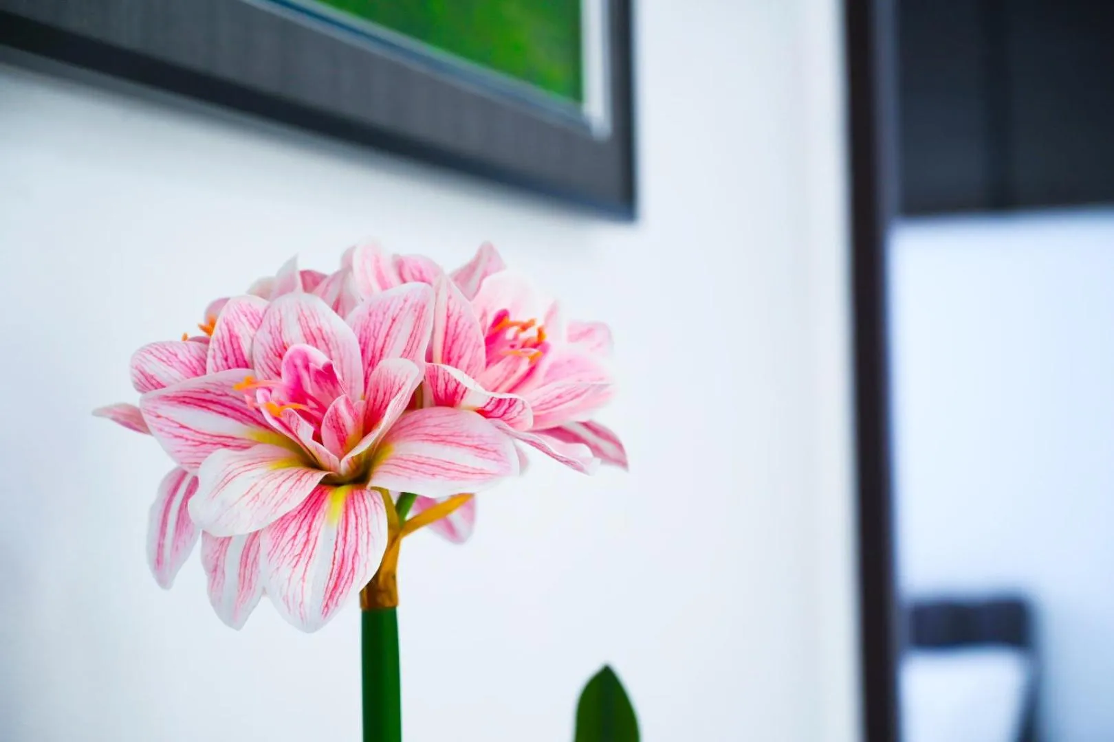 Decorative detail in Baan Nern Khao Resort Pattaya