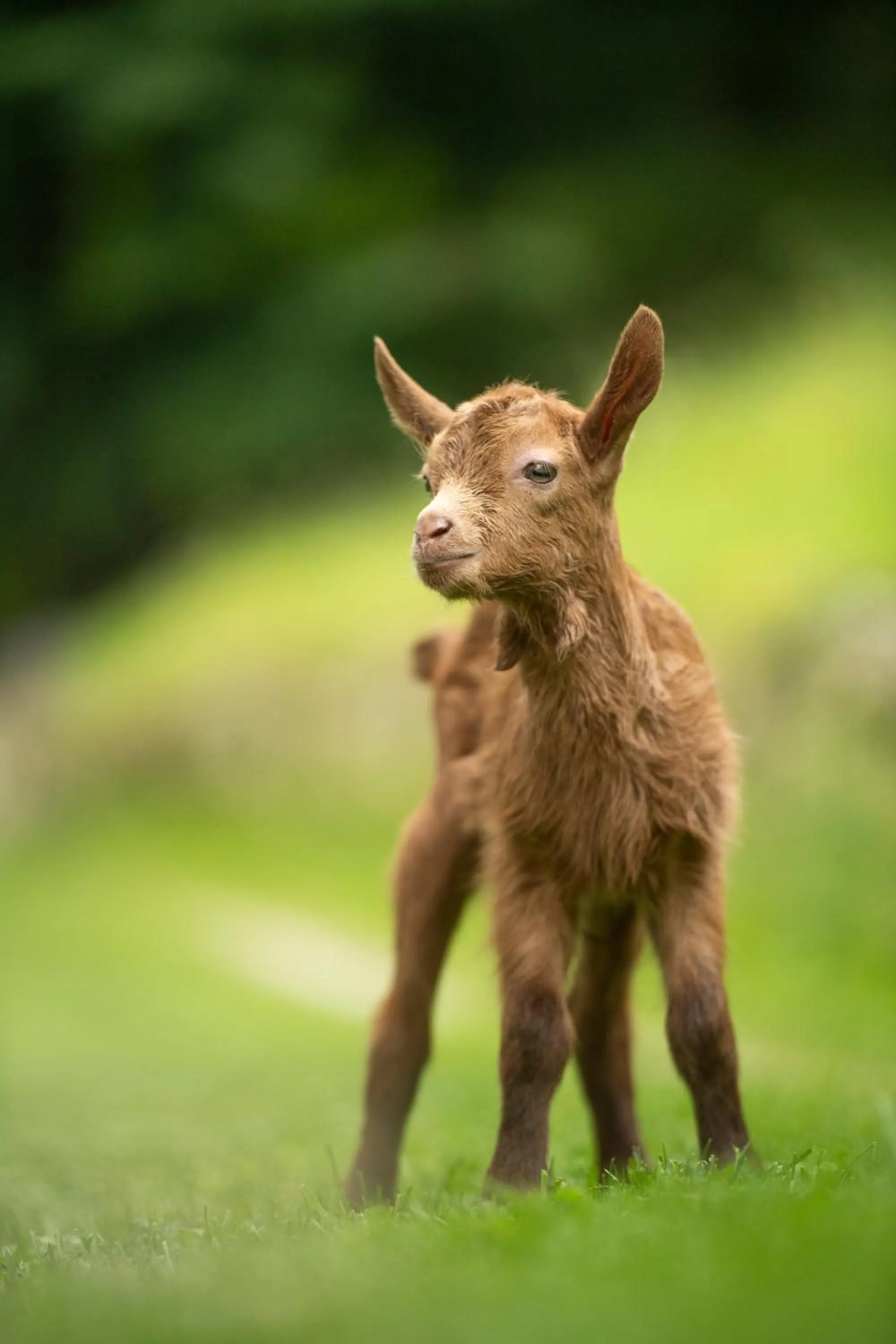 IDUEVAGAMONDI - Ospitalità Rurale Famigliare di Montagna
