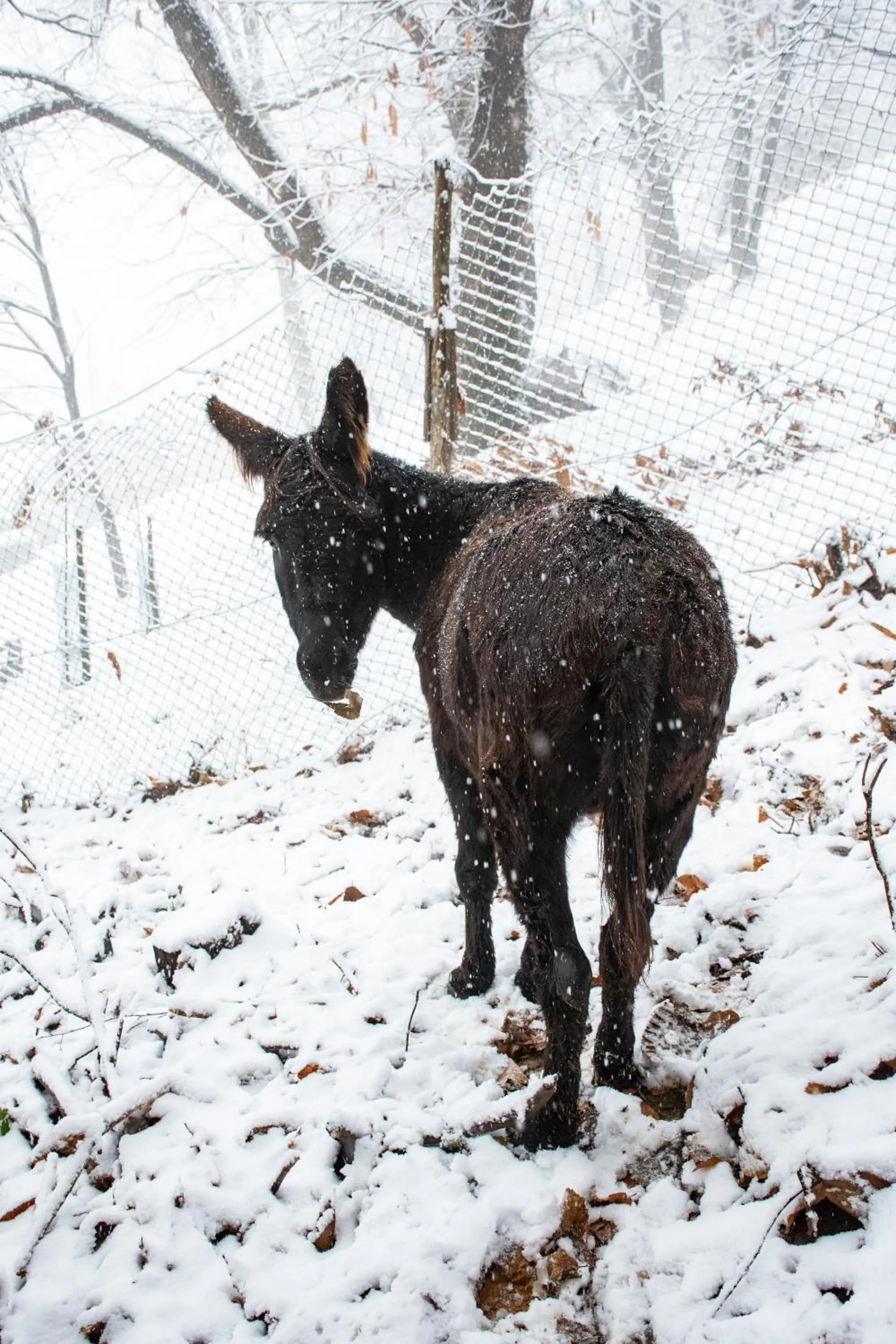 IDUEVAGAMONDI - Ospitalità Rurale Famigliare di Montagna