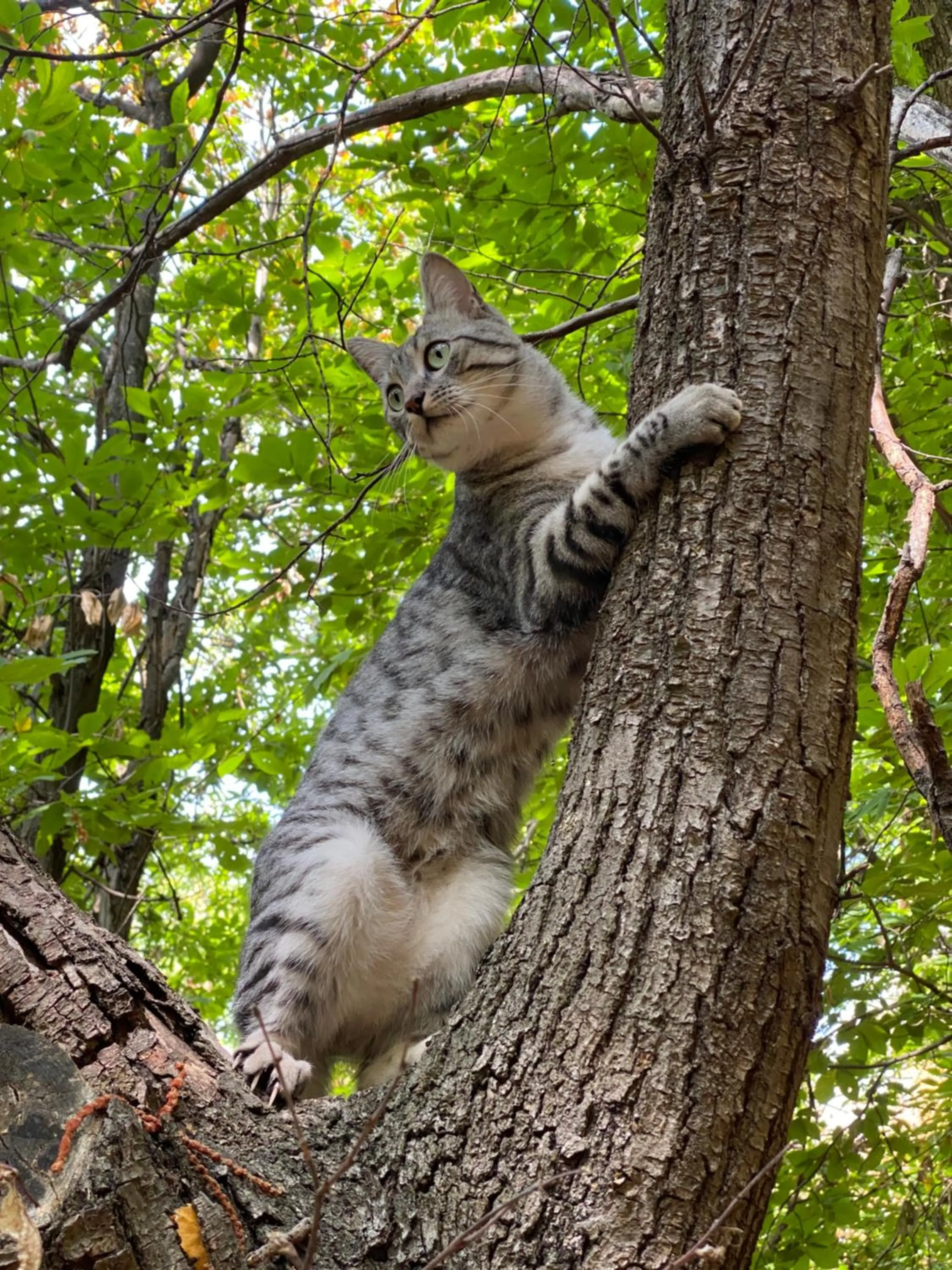 IDUEVAGAMONDI - Ospitalità Rurale Famigliare di Montagna