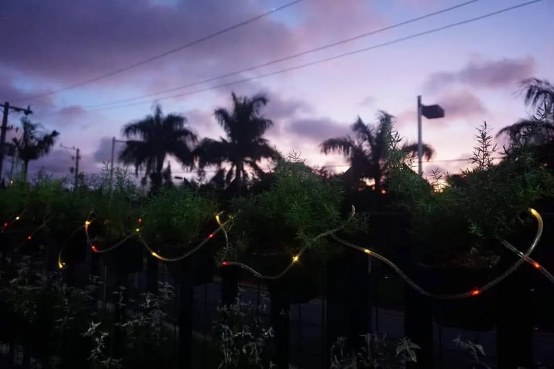 Kua's Pad Tagaytay
