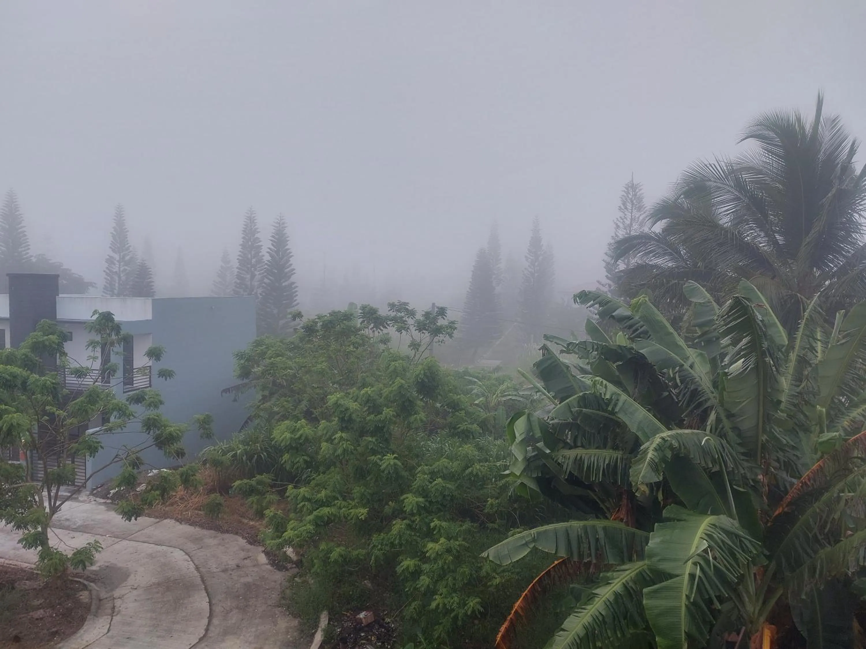 Kua's Pad Tagaytay
