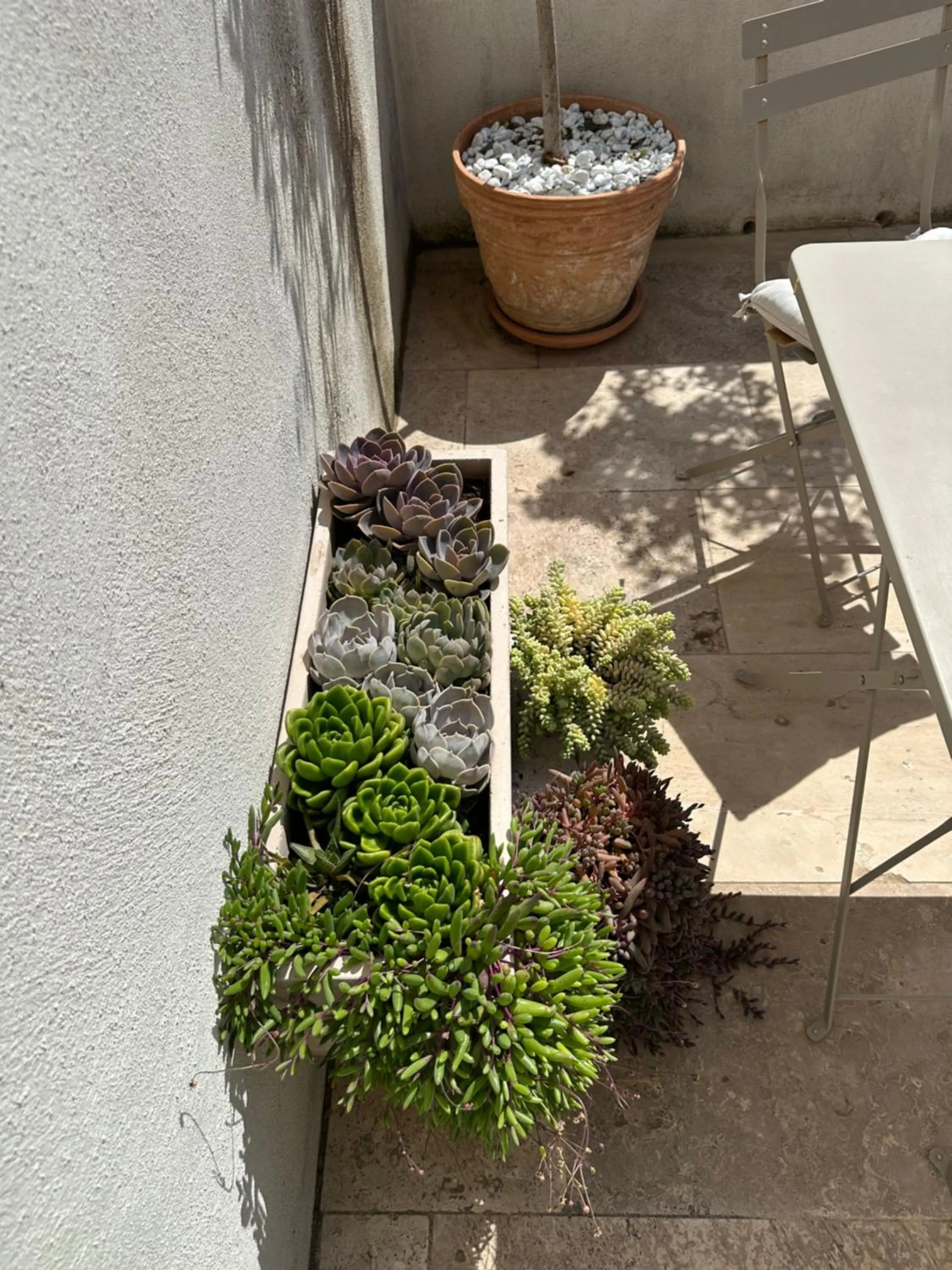 Appartements 3 étoiles terrasse ou patio intra-muros