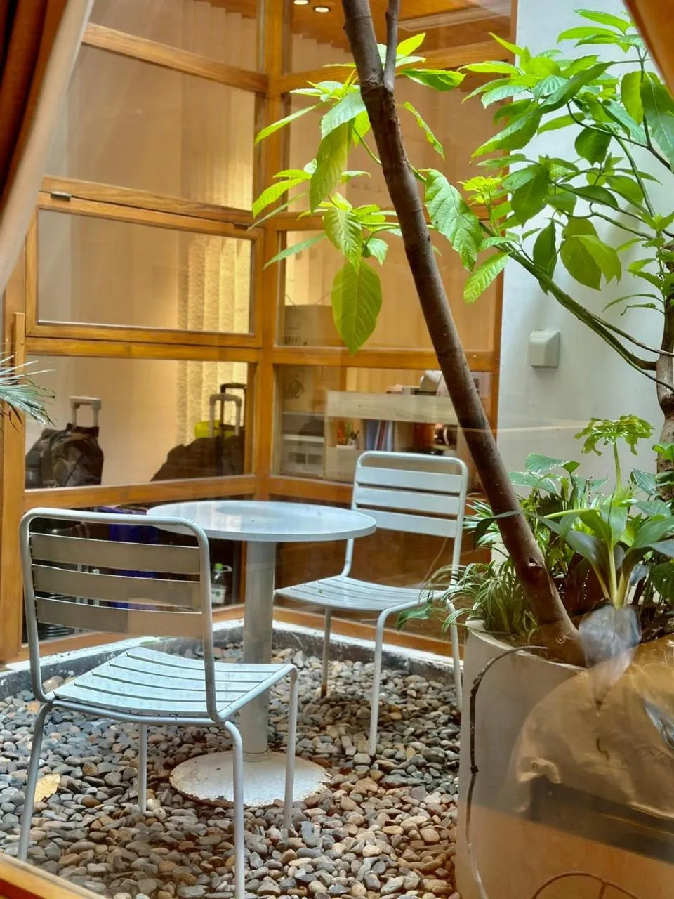 Garden in CityHouse - Ariosa