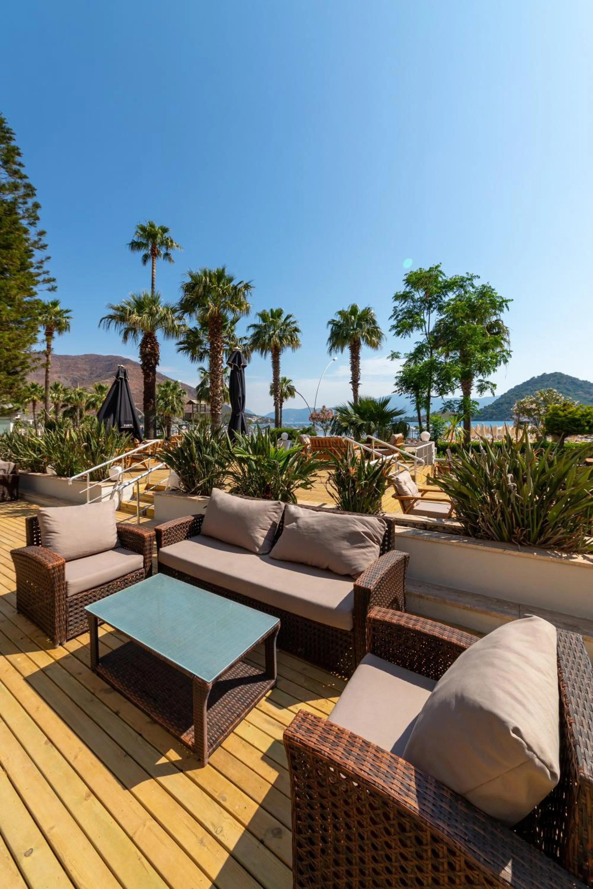 Garden in Faros Premium Beach