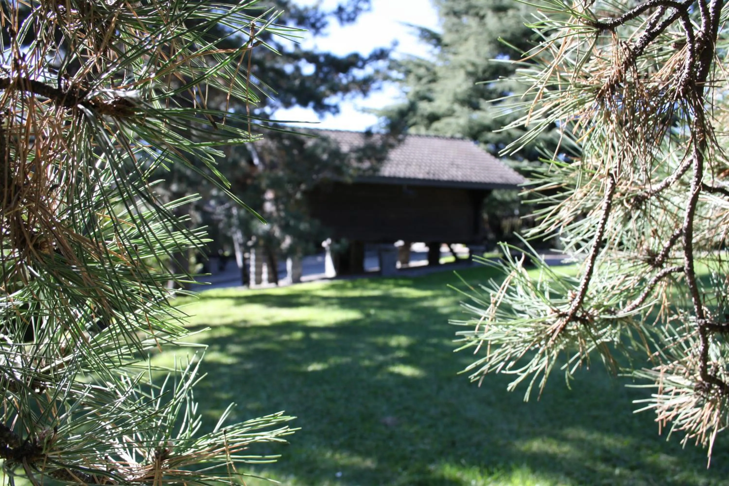 Property building in Hotel Village