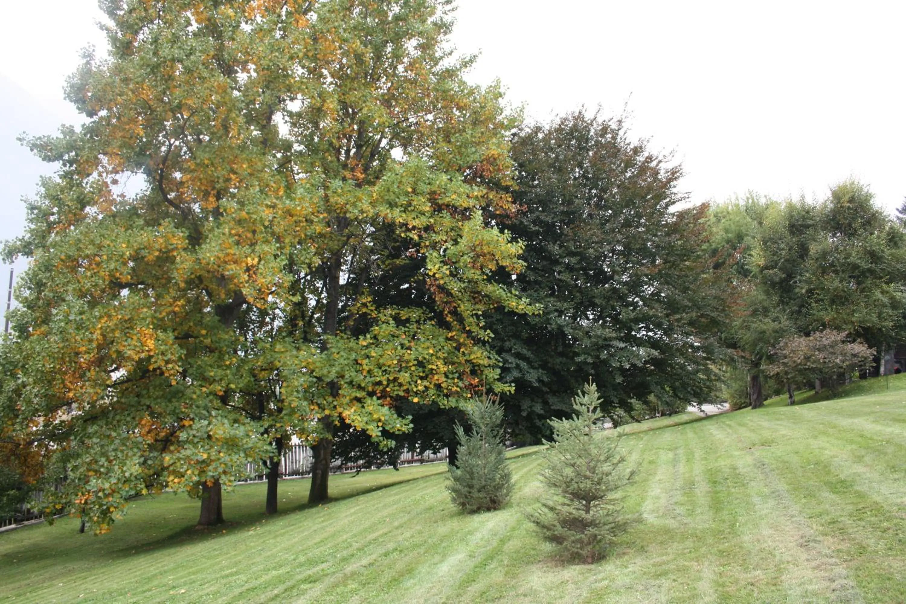 Day in Hotel Village