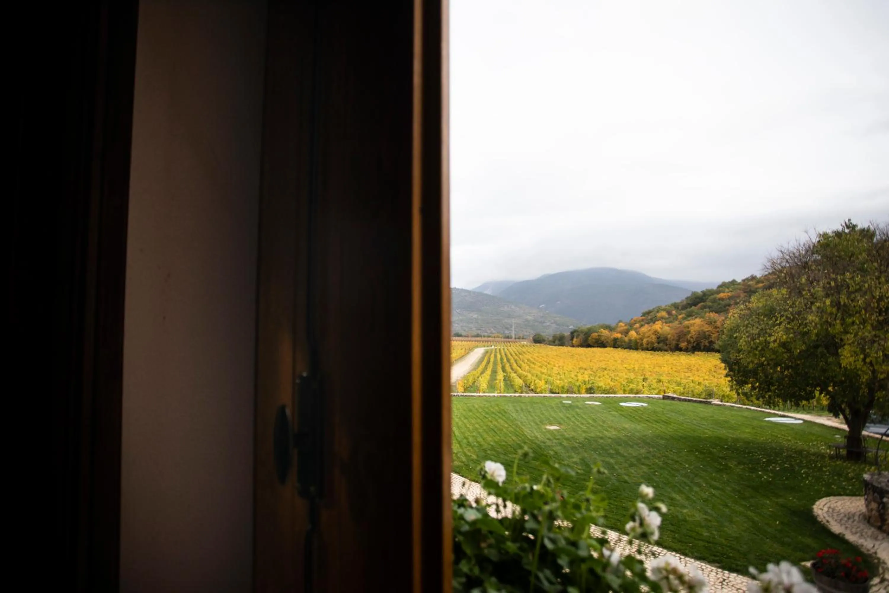 Natural landscape in San Calisto camere con vigna