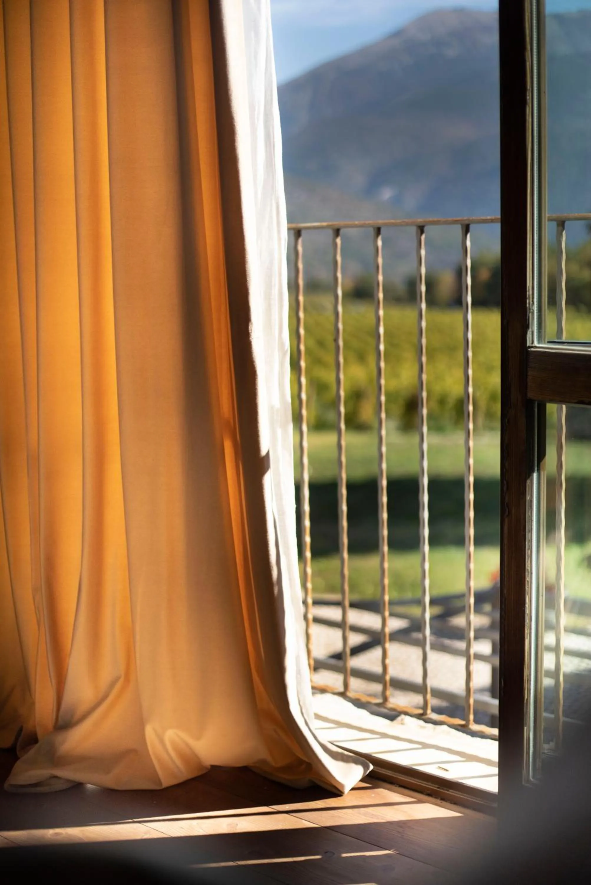Balcony/Terrace in San Calisto camere con vigna