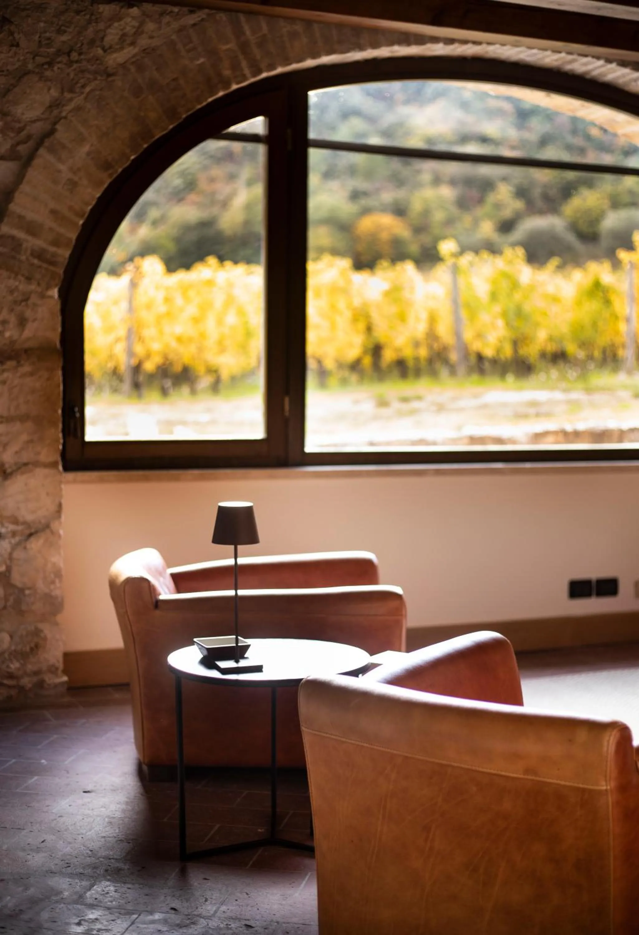 Lounge or bar in San Calisto camere con vigna