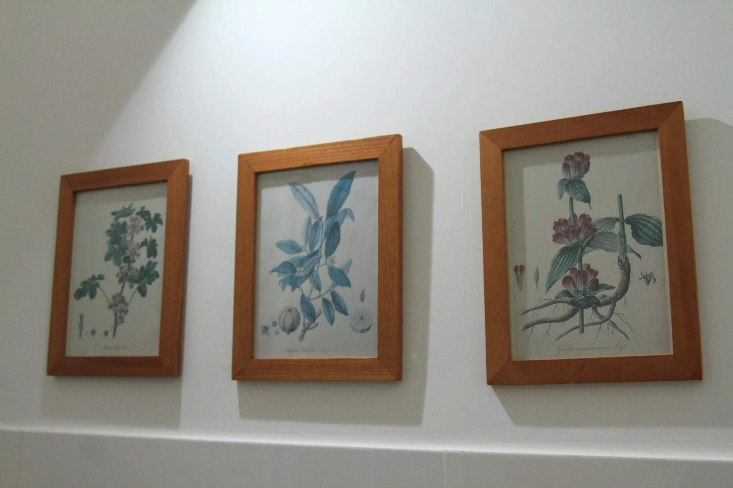 Decorative detail in Dal Conte