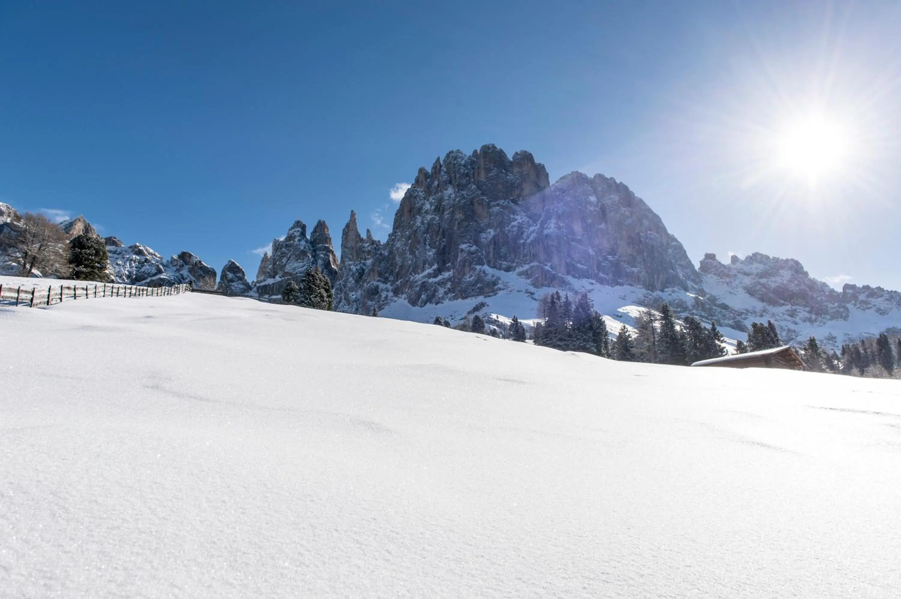 Natural landscape in Hotel Emmy - five elements