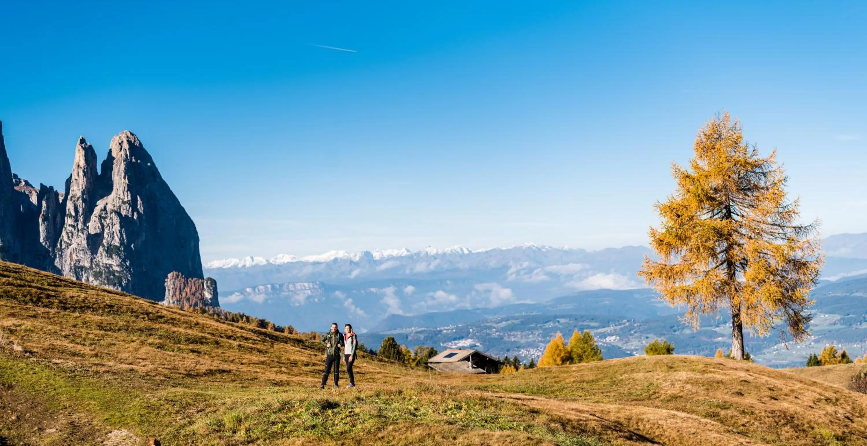 Staff in Hotel Emmy - five elements