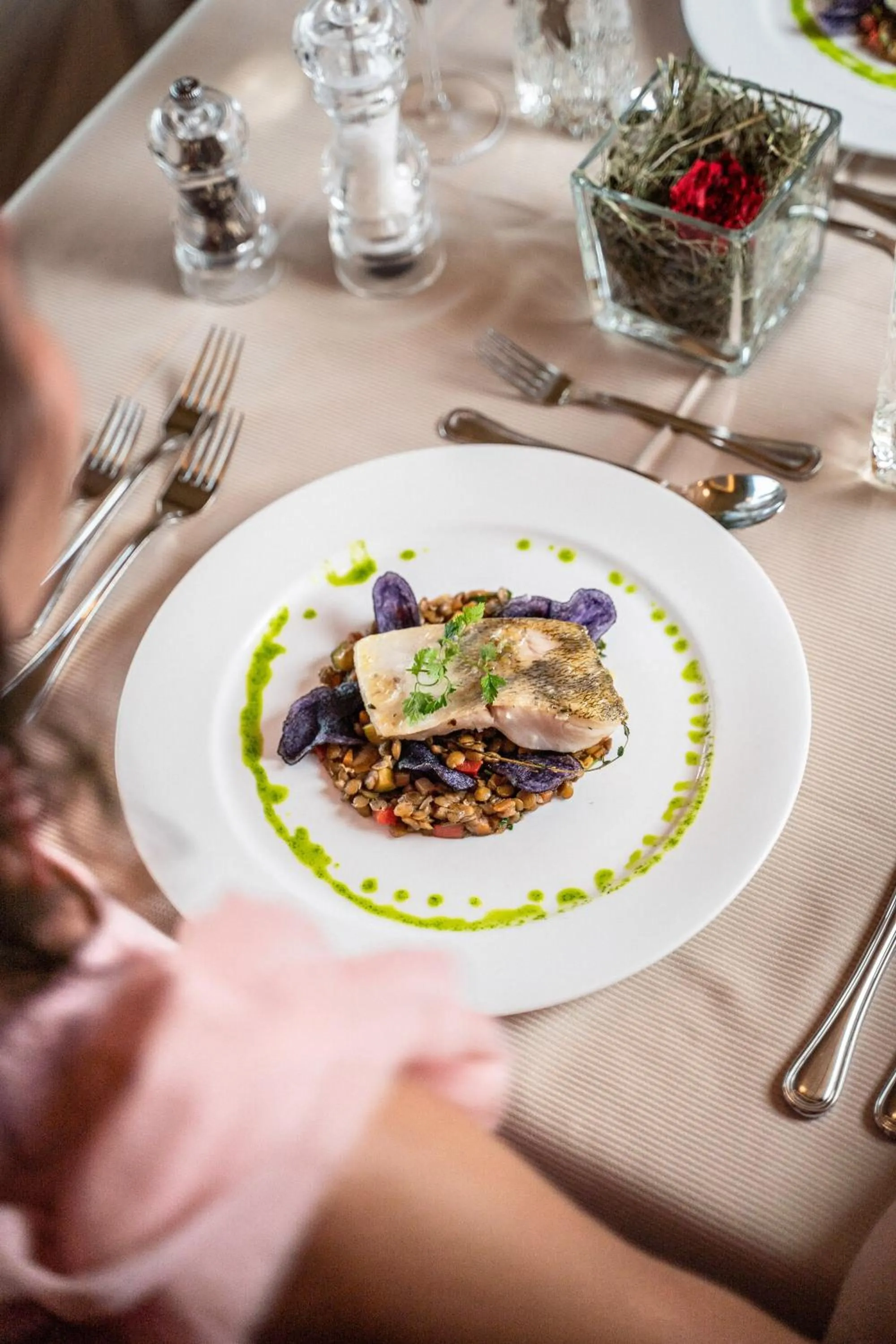 Dinner in Hotel Emmy - five elements