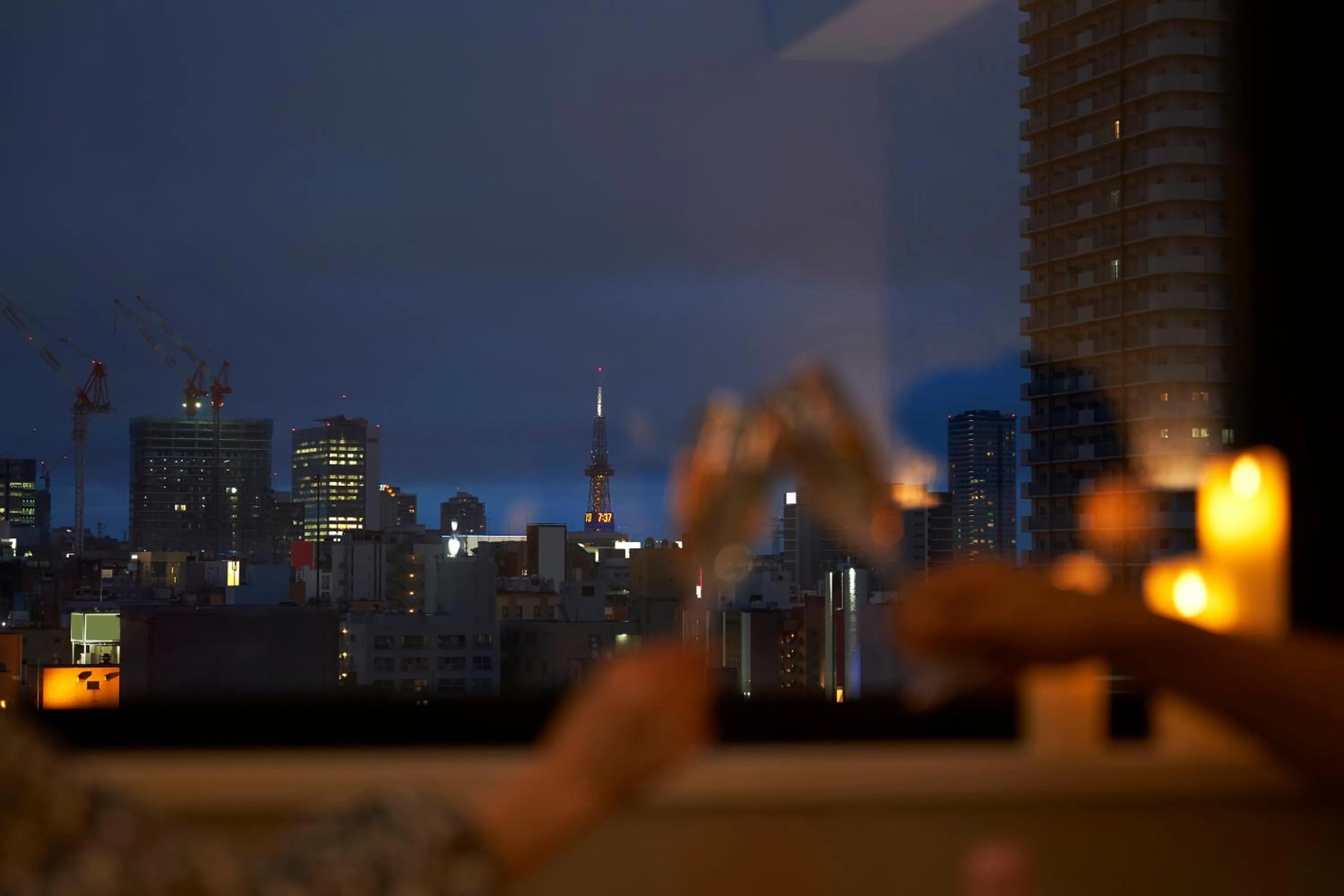 City view in Daiwa Roynet Hotel Sapporo Nakajima Koen