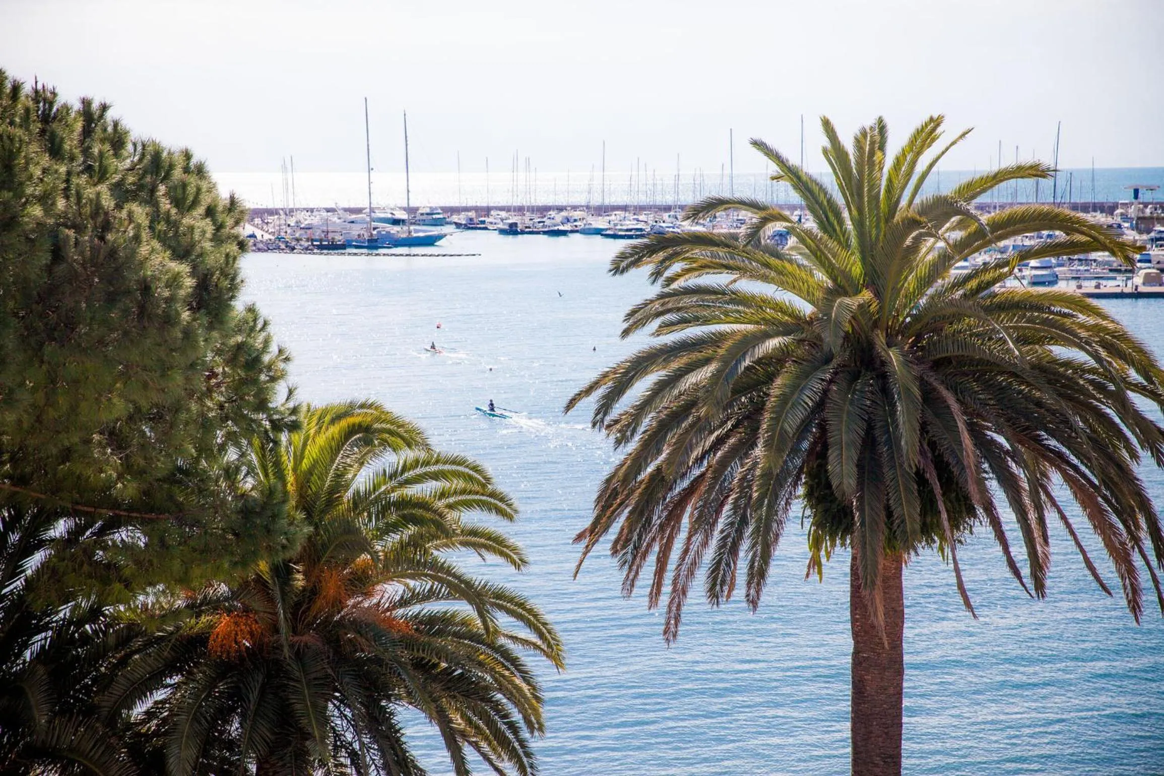 Day in Hotel Vesuvio